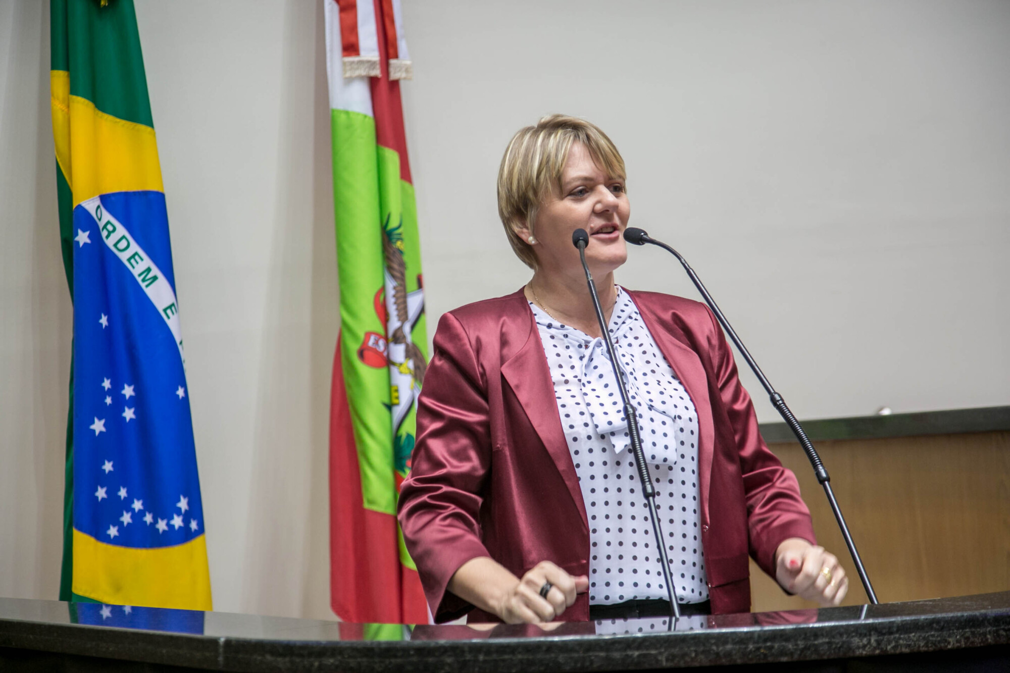 Luciane Carminatti (PT)