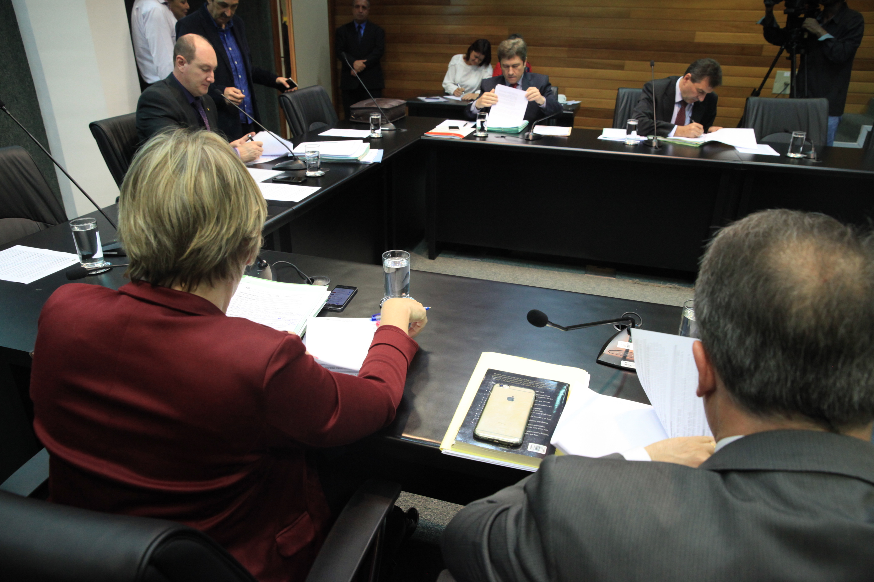 Comissão de Constituição e Justiça.