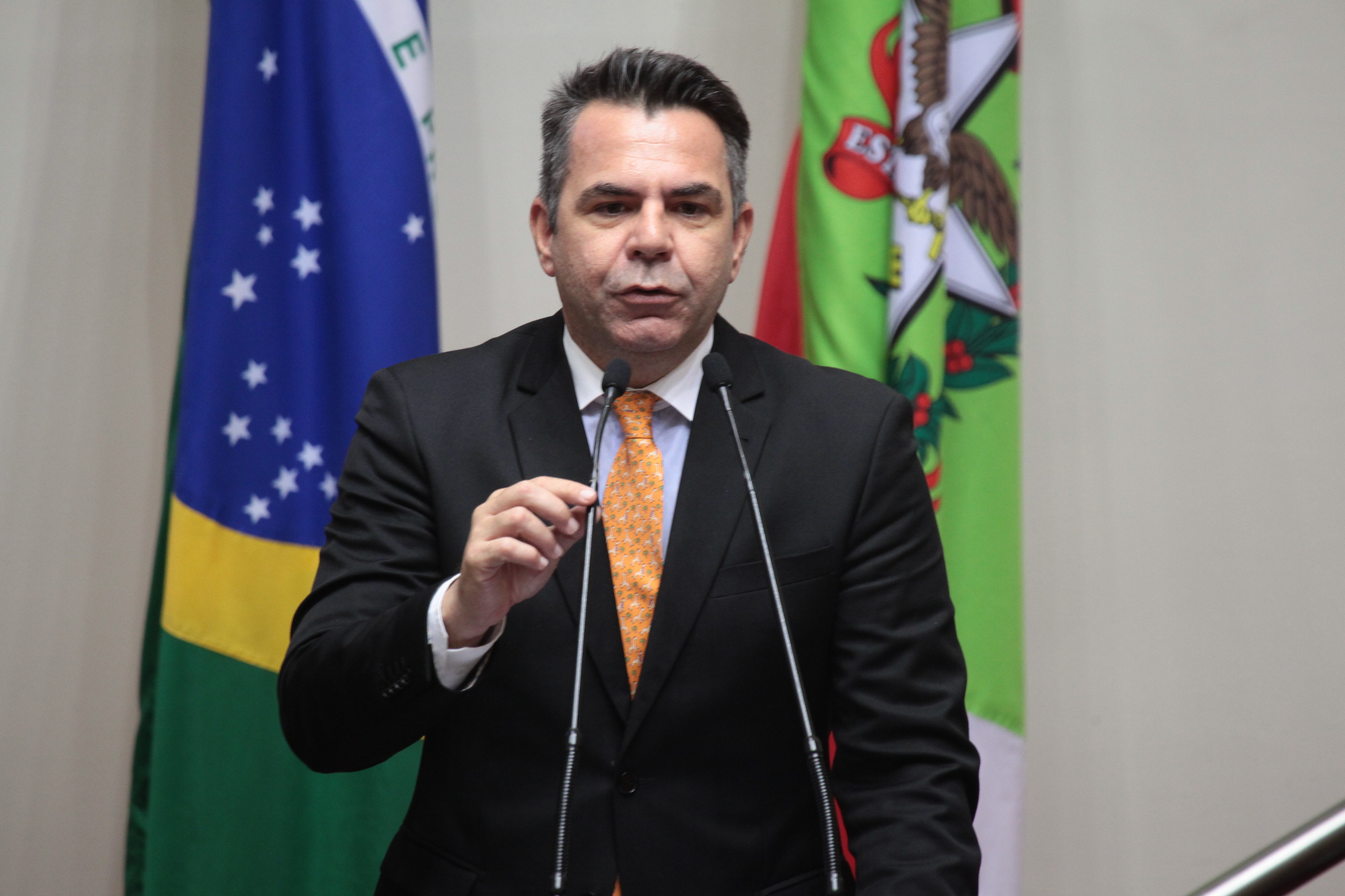 Sessão Ordinária. Deputado Luiz Fernando Vampiro (PMDB)