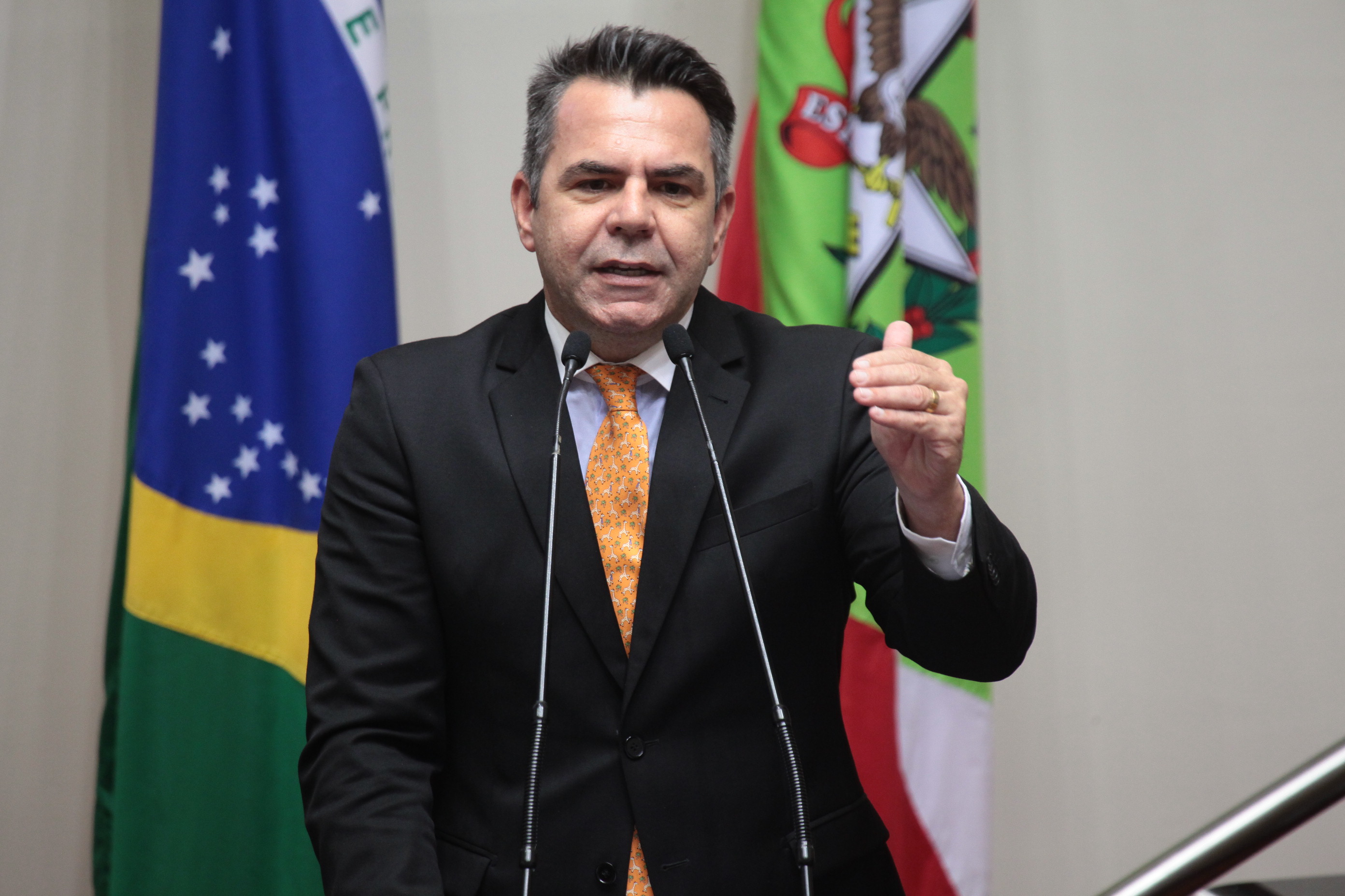 Sessão Ordinária. Deputado Luiz Fernando Vampiro (PMDB)