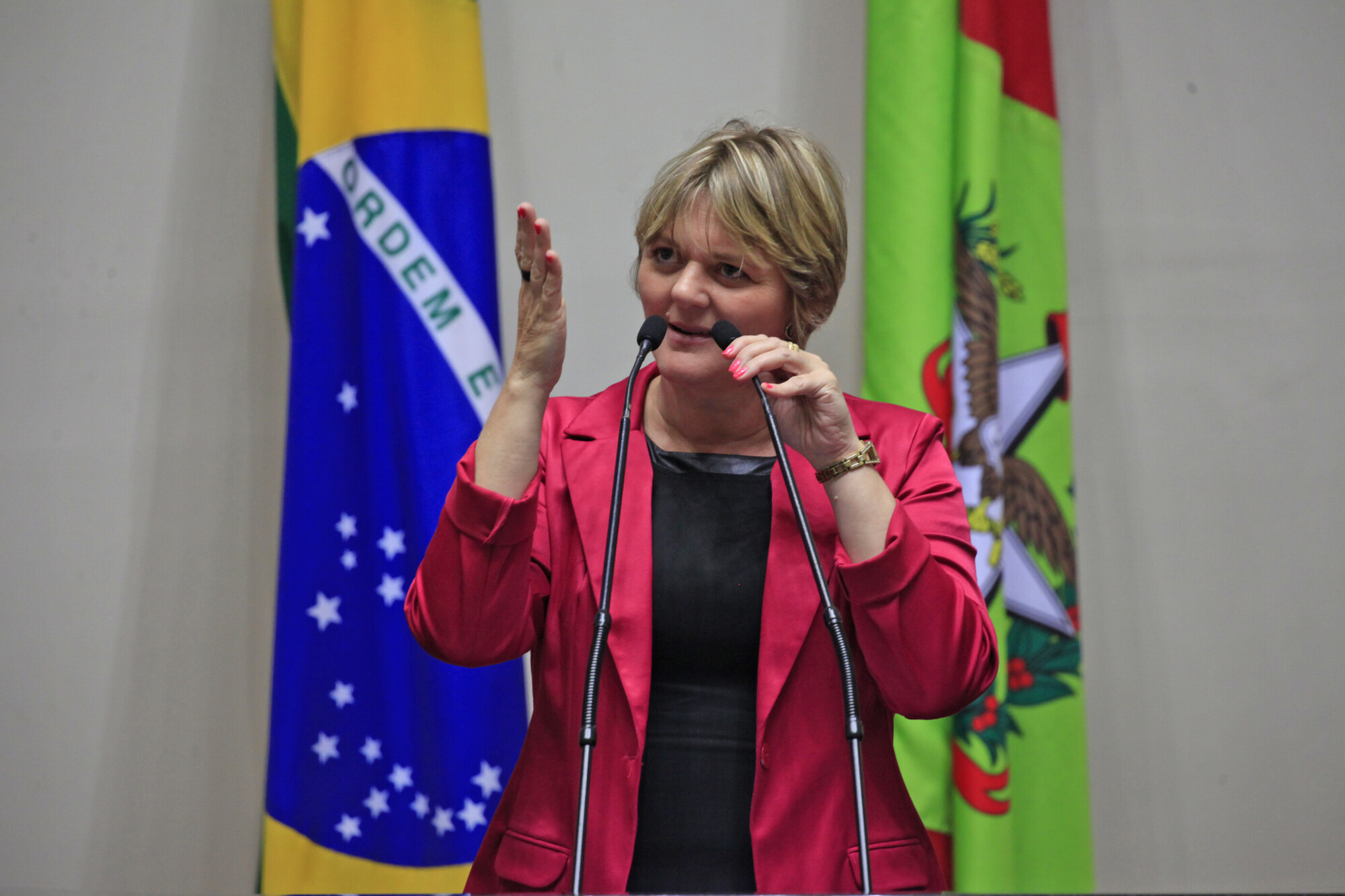 Deputada Luciane Carminatti