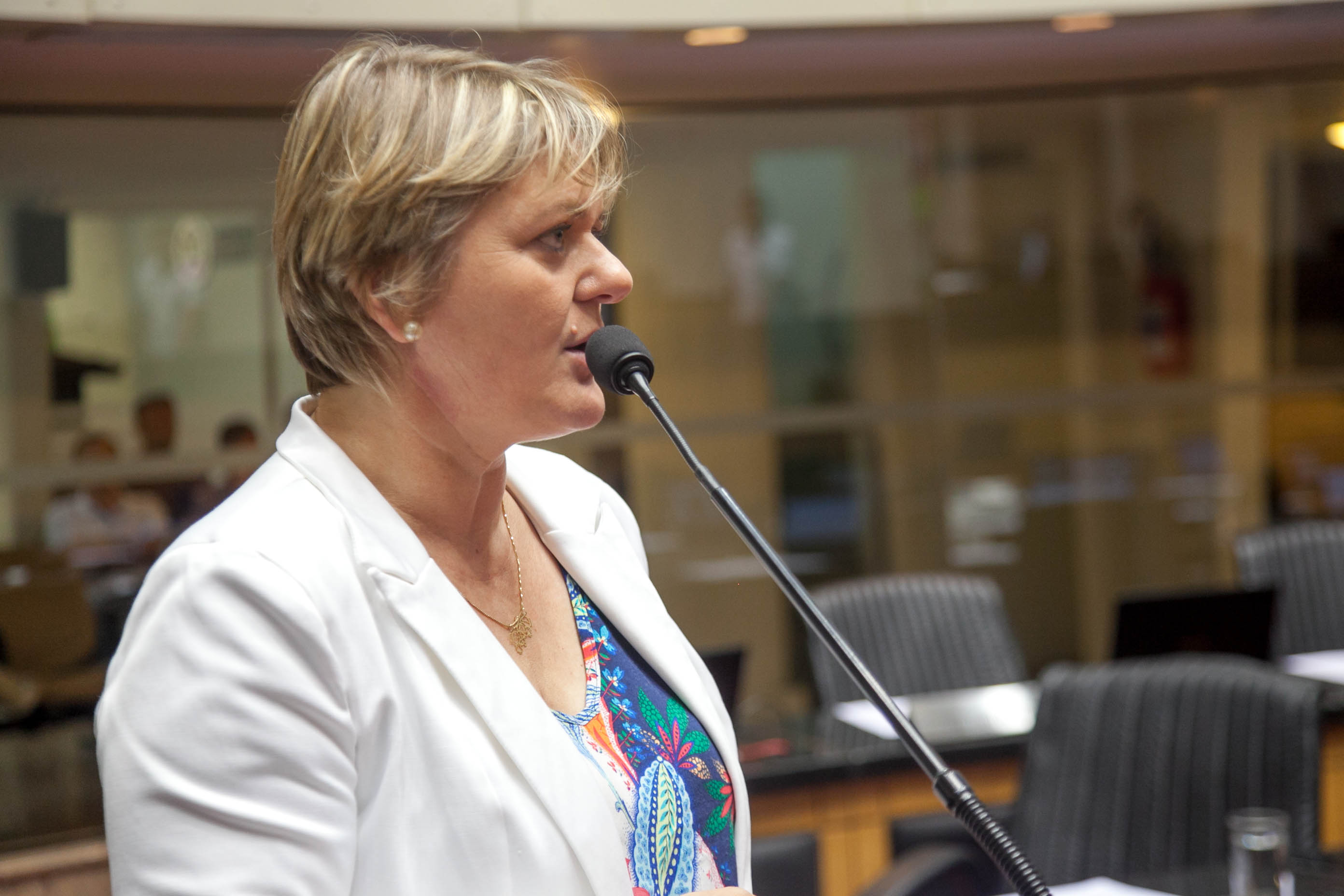 Deputada Luciane Carminatti (PT) - Sessão Ordinária