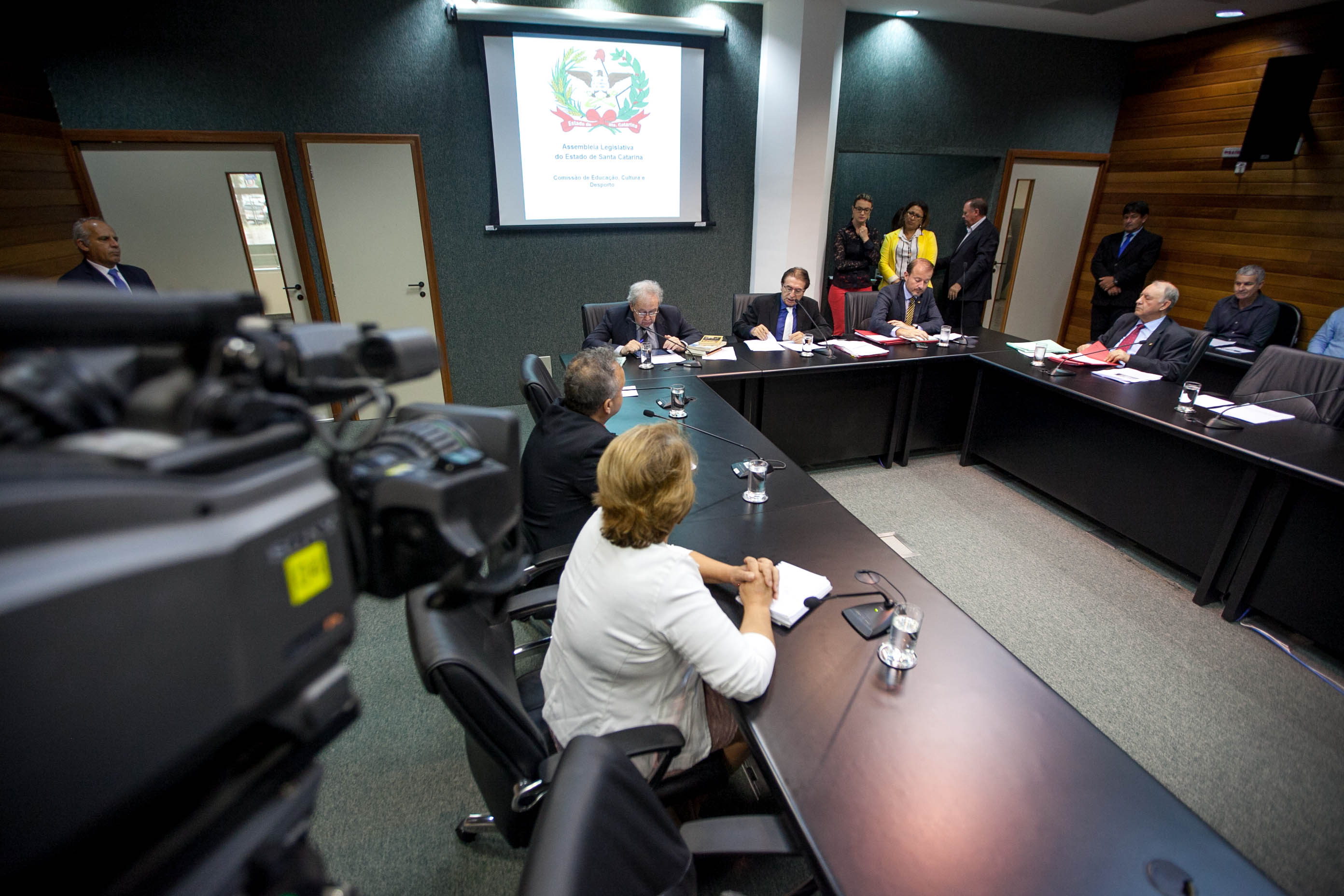 Comissão de Educação Cultura e Desporto