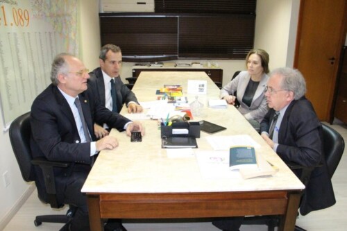 Presidente e relator se reúnem para tratar da prorrogação de CPI