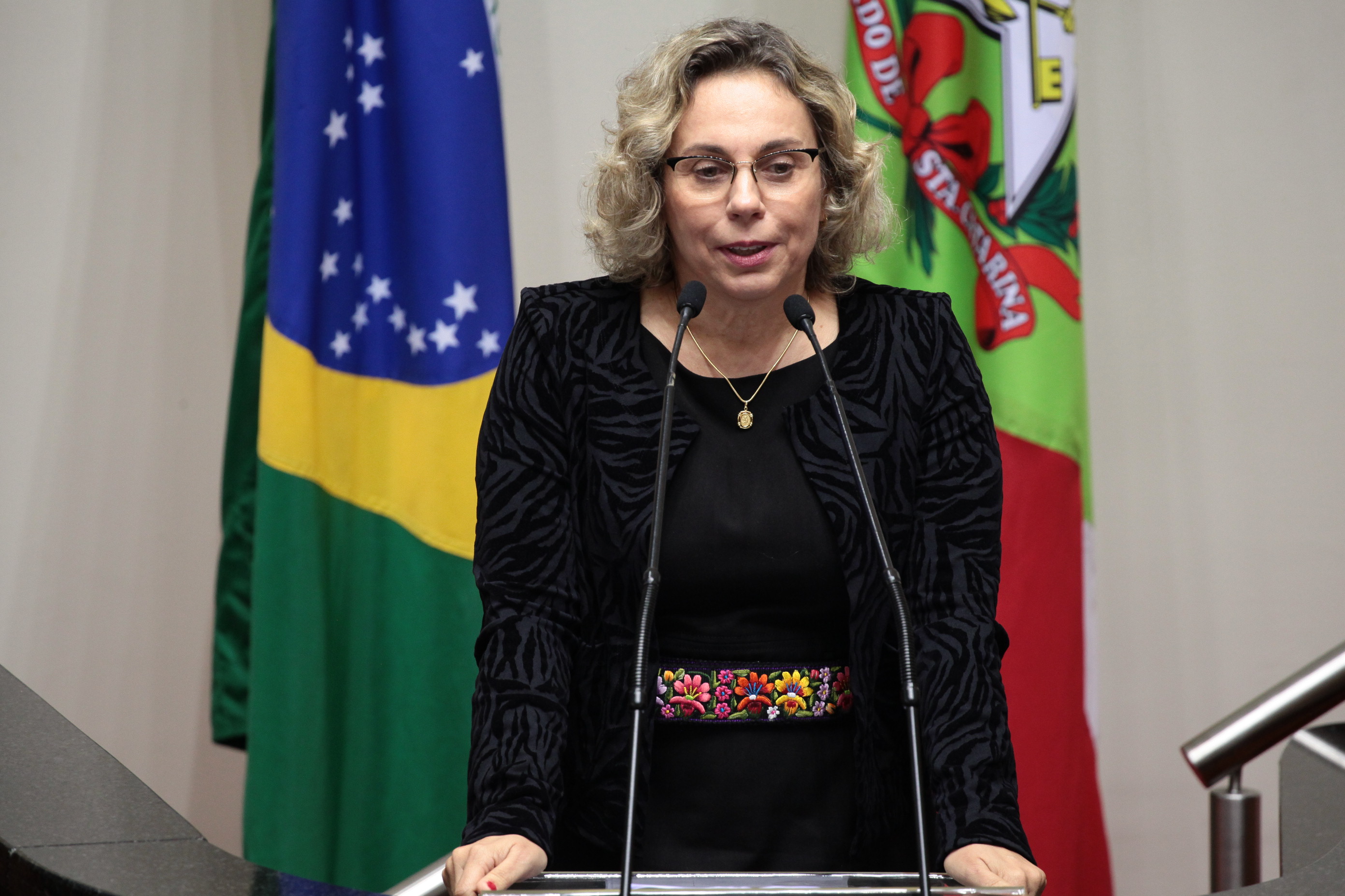 Sessão Ordinária. Deputada Ana Paula Lima (PT).