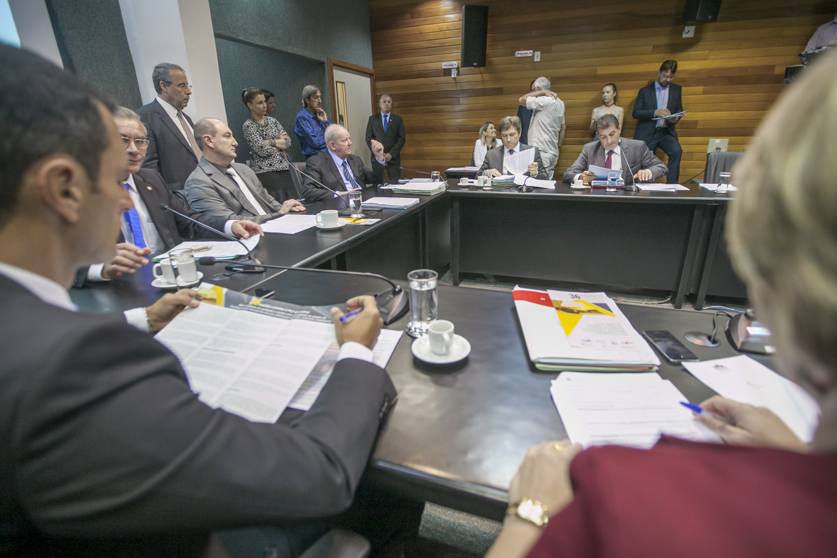Comissão de Constituição e Justiça