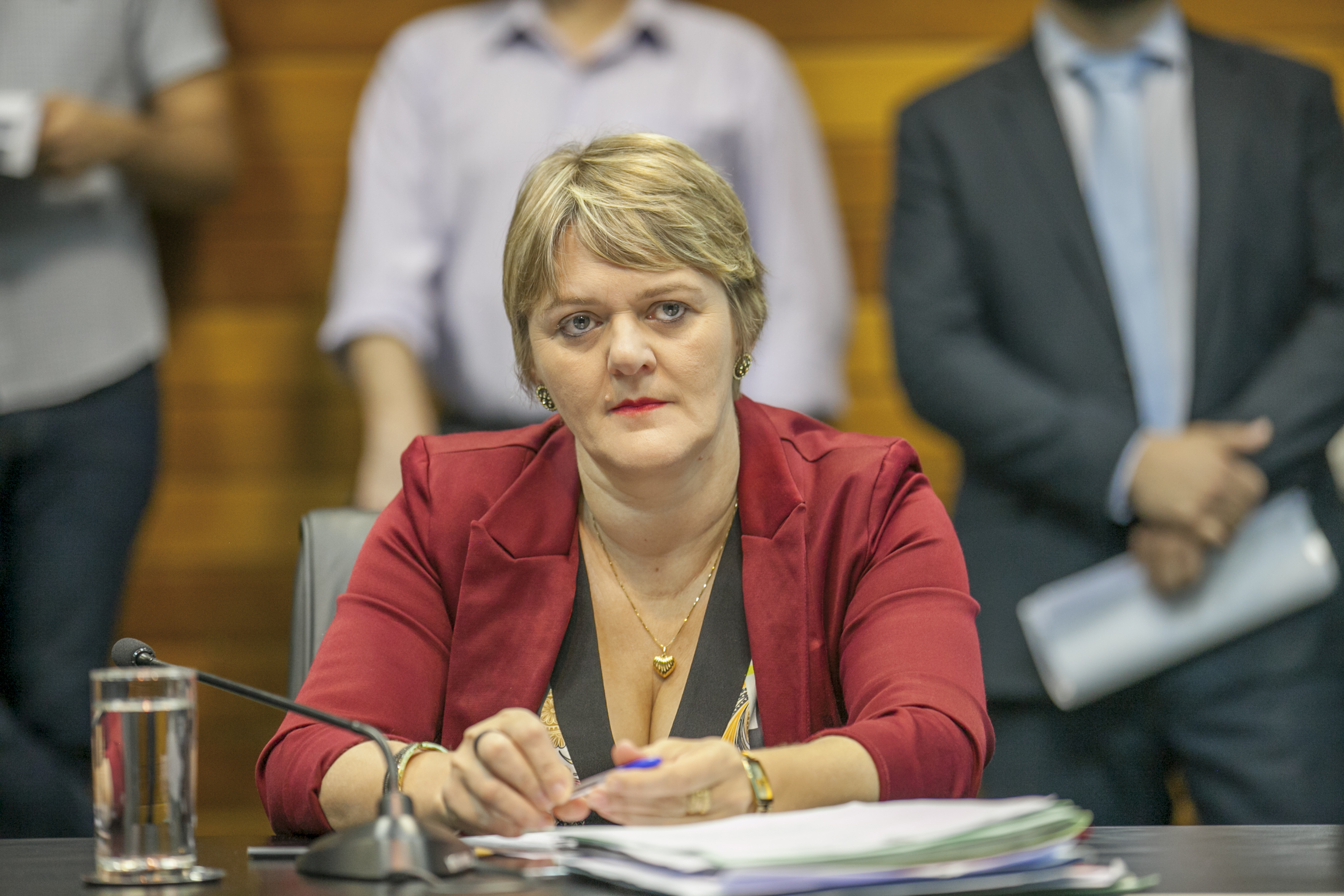 Deputada Luciane Carminatti (PT) - Comissão de Constituição e Justiça