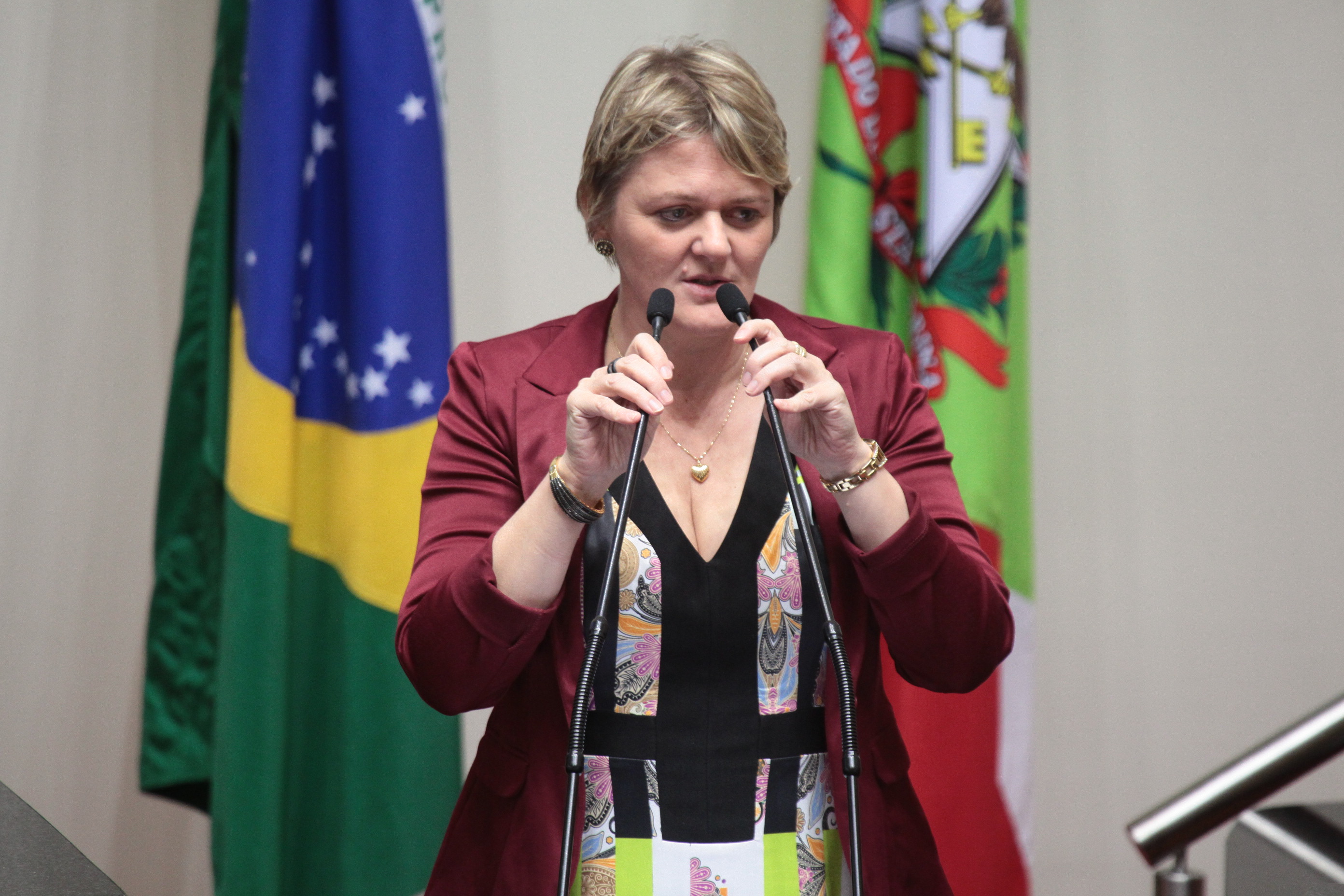 Sessão Ordinária. Deputada Luciane Carminatti (PT).