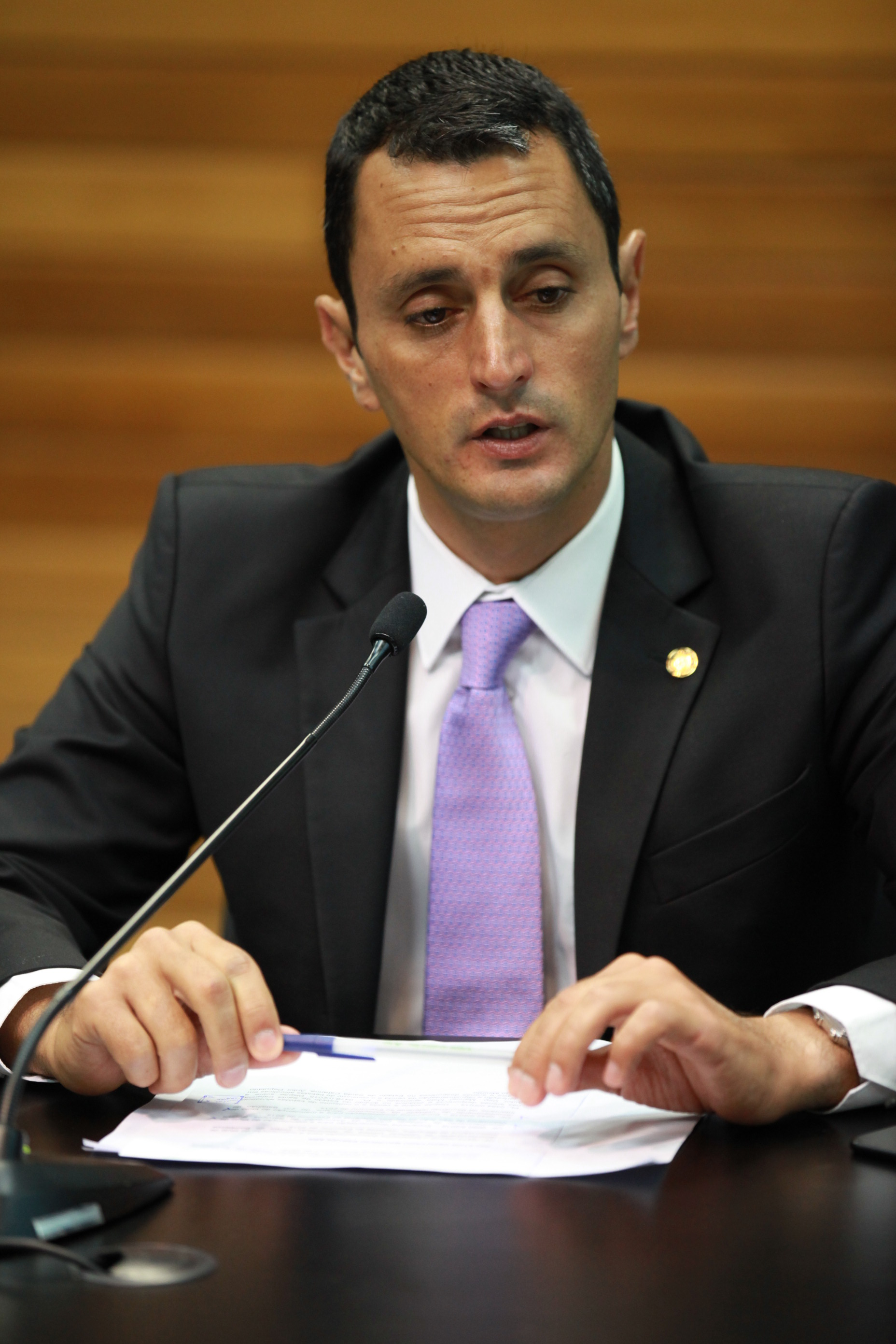 Reunião da Comissão de Segurança Pública.