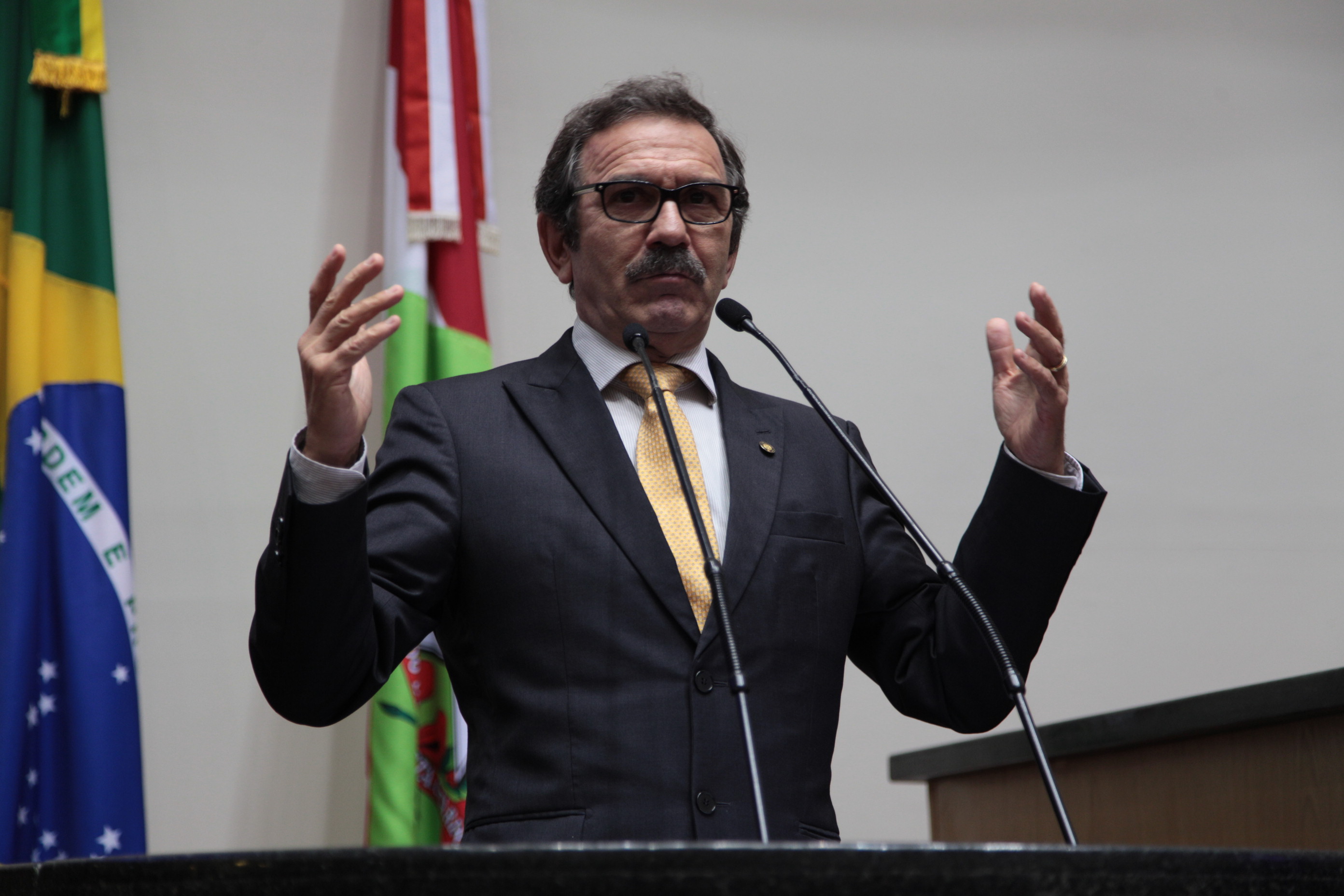 Sessão Ordinária - Deputado Serafim Venzon (PSDB) - Foto: Solon Soares