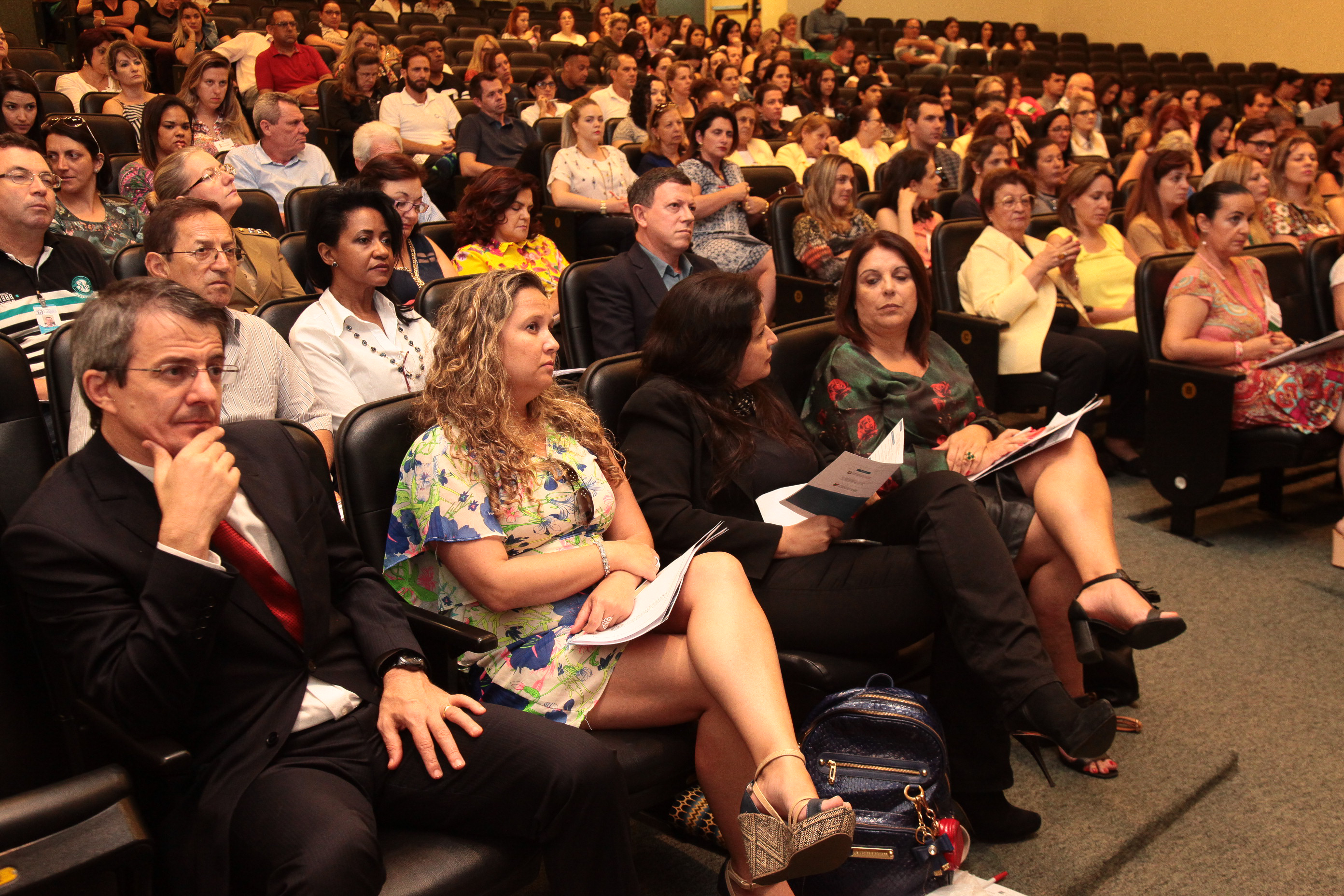 IIº Seminário Estadual de Práticas Exitosas na área da criança e do adolescente.