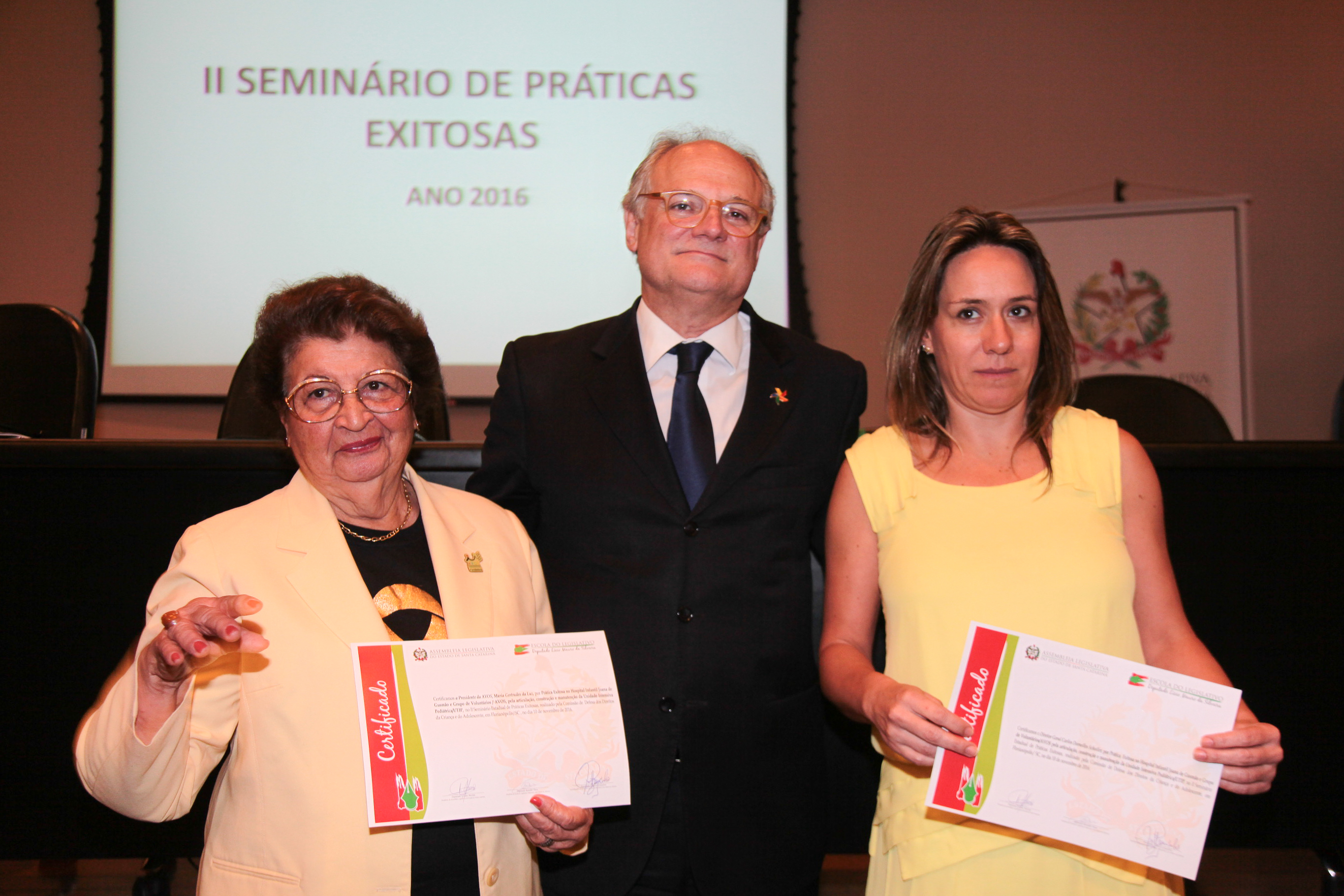 IIº Seminário Estadual de Práticas Exitosas na área da criança e do adolescente.