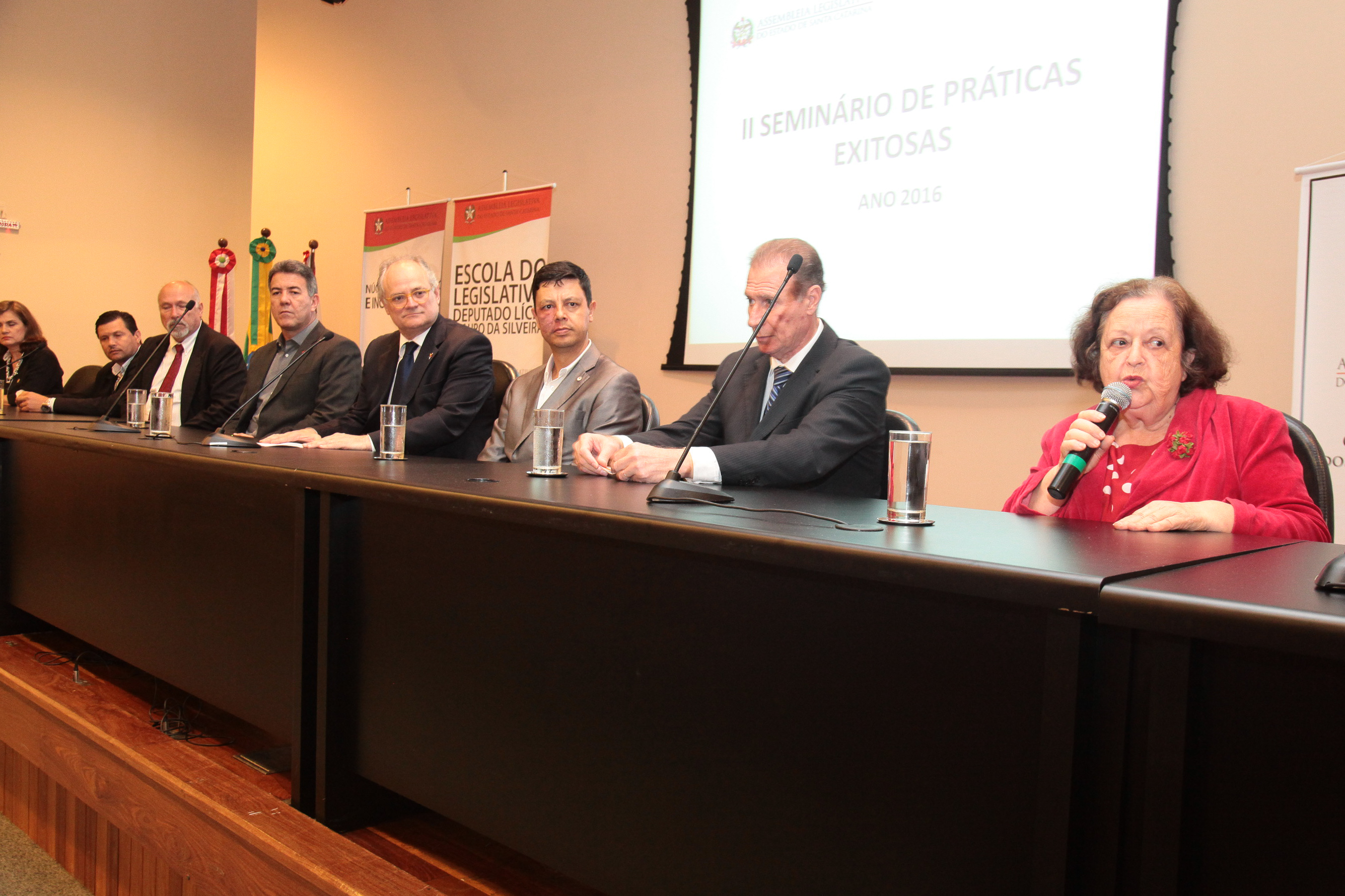 IIº Seminário Estadual de Práticas Exitosas na área da criança e do adolescente.
