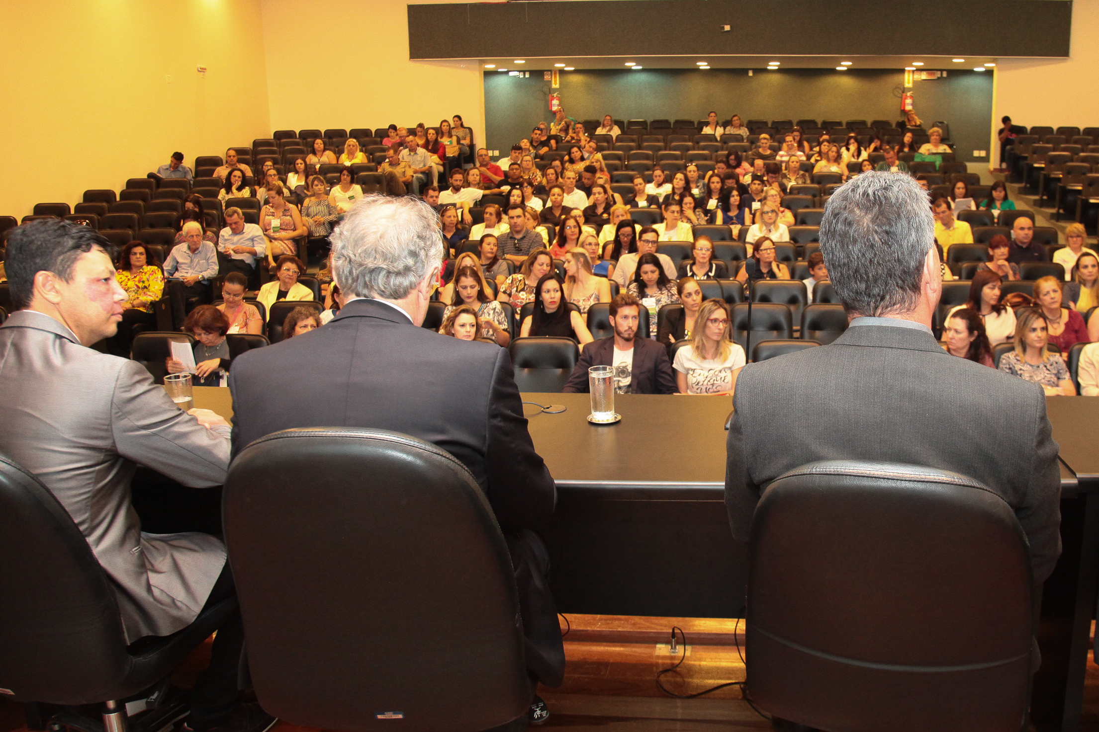 IIº Seminário Estadual de Práticas Exitosas na área da criança e do adolescente.