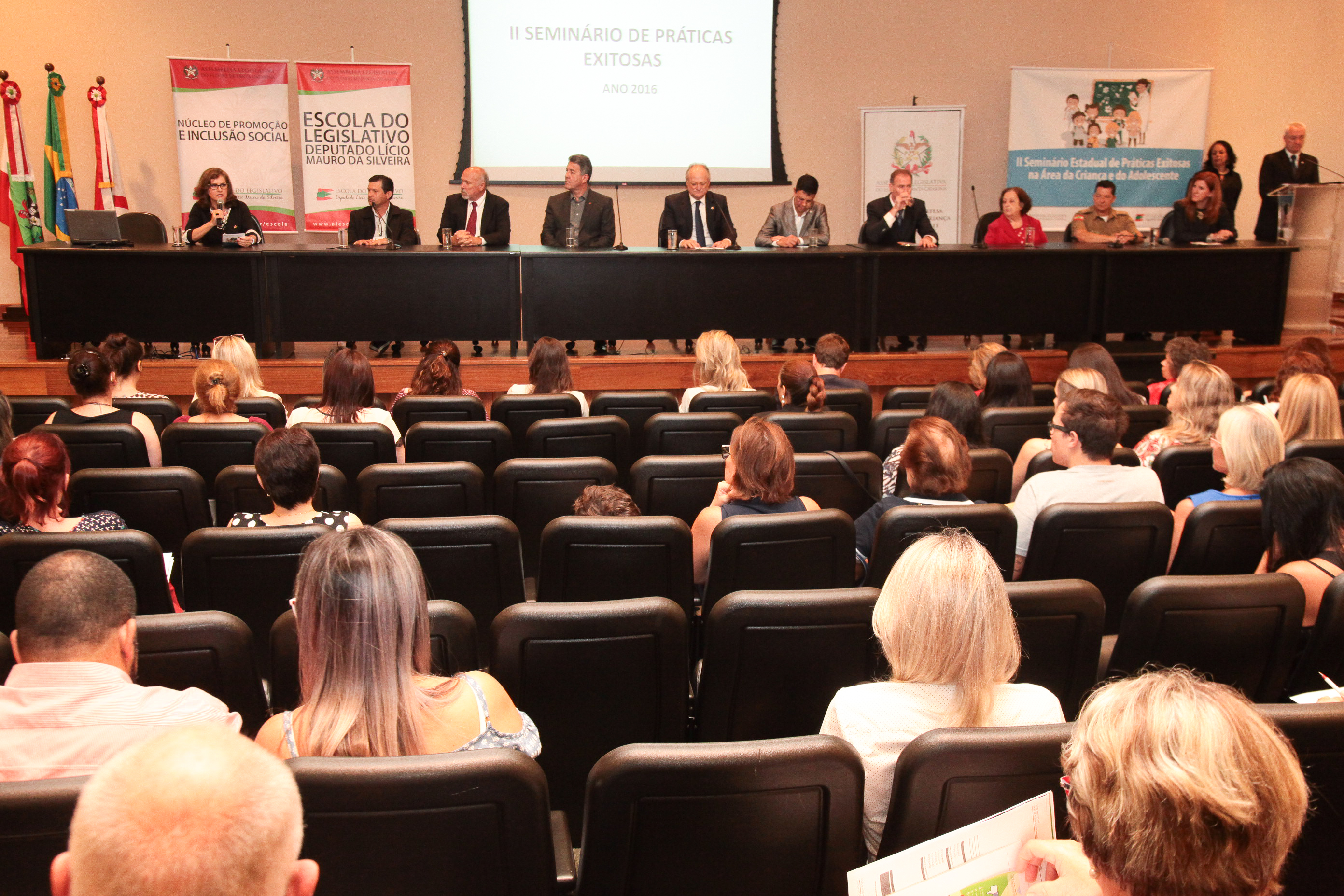 IIº Seminário Estadual de Práticas Exitosas na área da criança e do adolescente.
