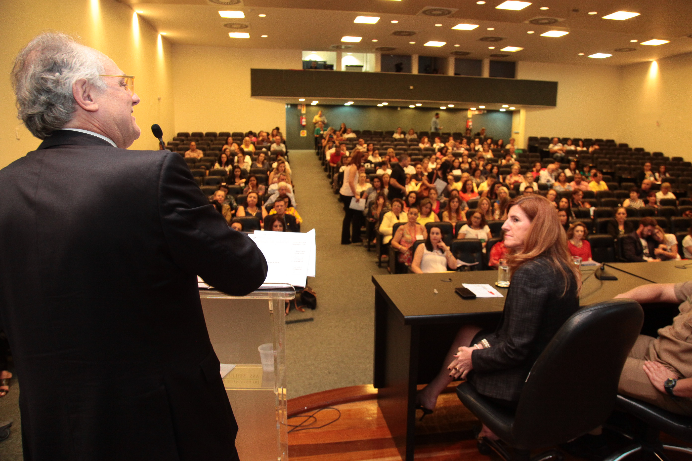 IIº Seminário Estadual de Práticas Exitosas na área da criança e do adolescente.
