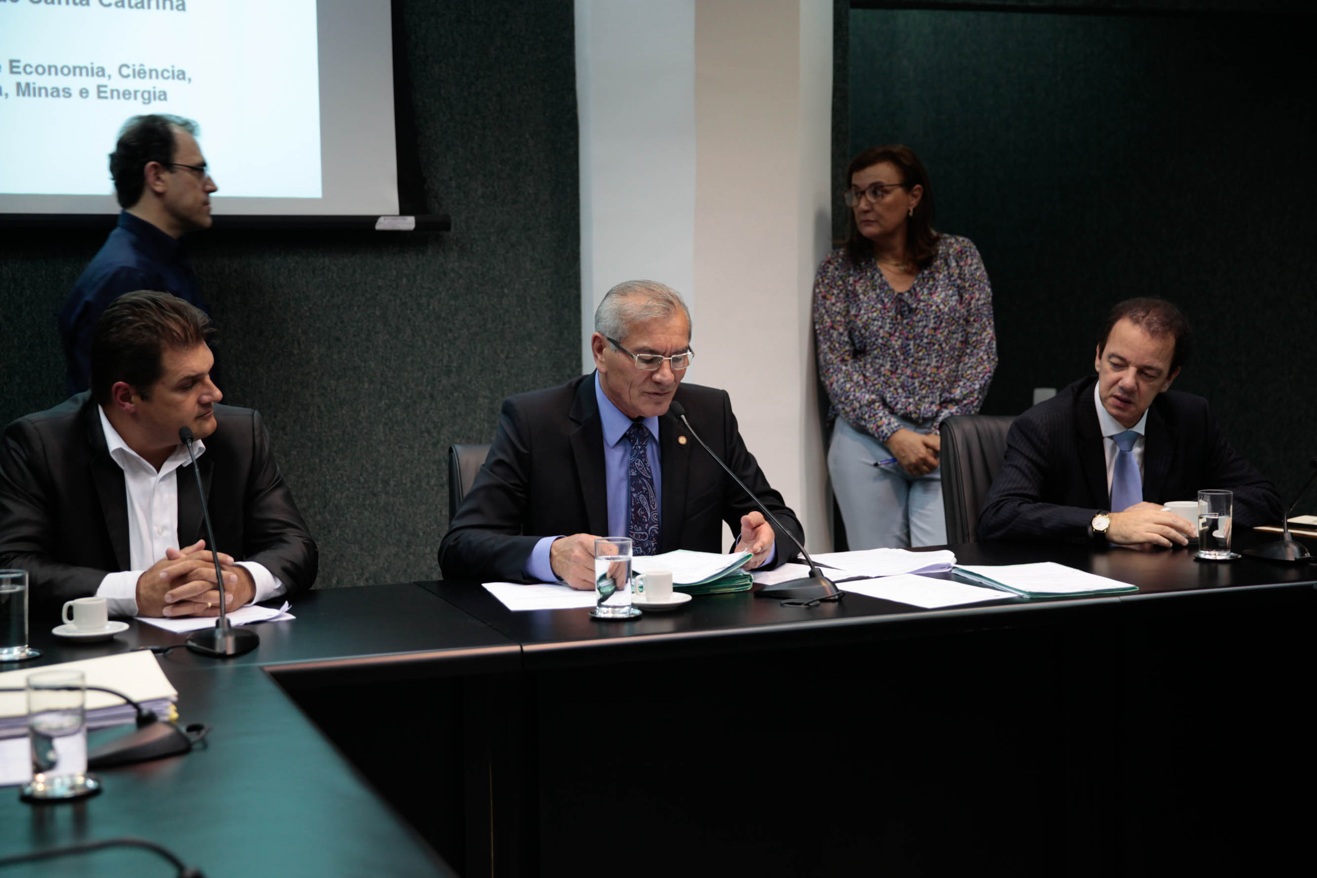 Reunião da Comissão de Economia, Ciência, Tecnologia, Minas e Energia.