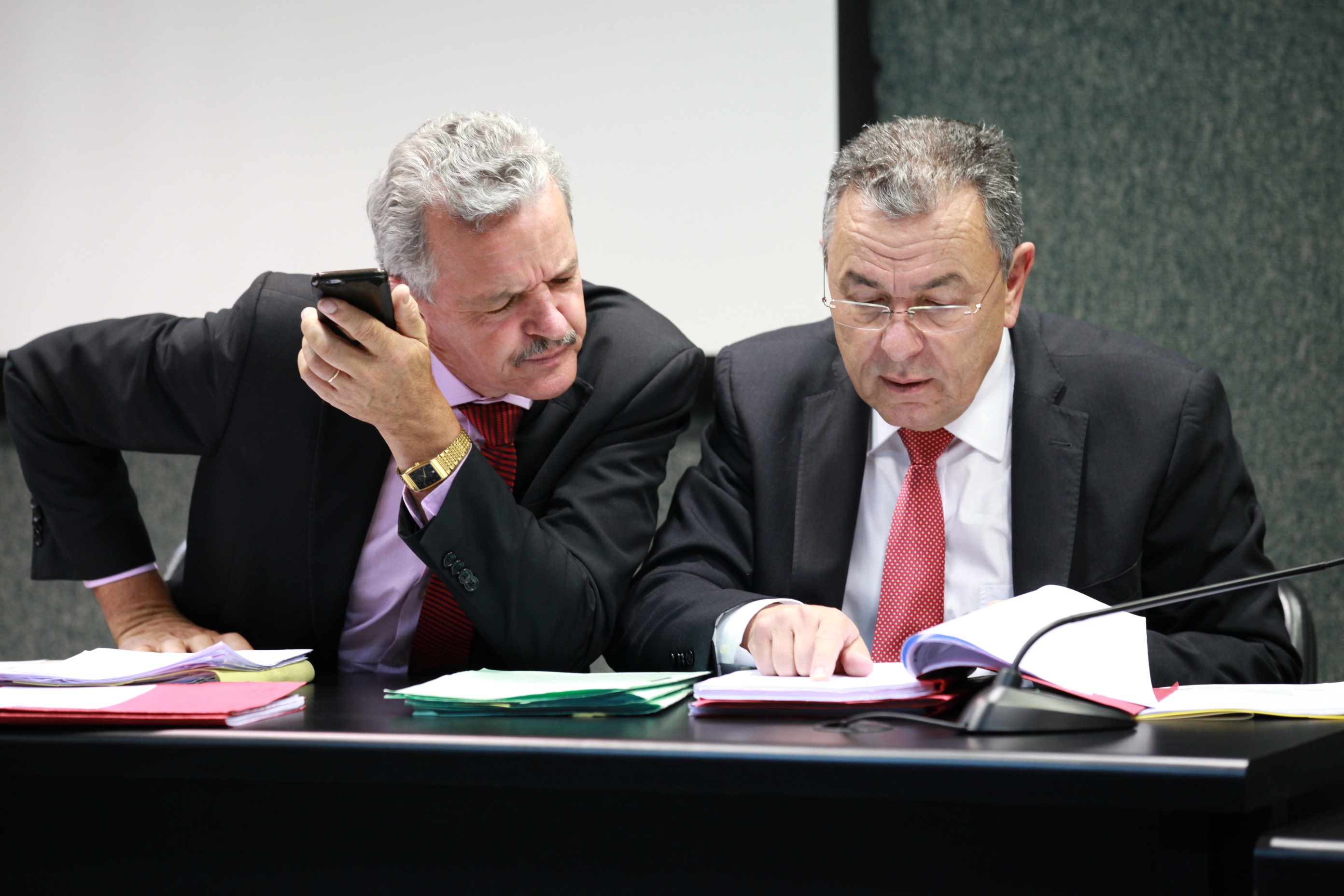 Reunião da Comissão de Direitos Humanos.
