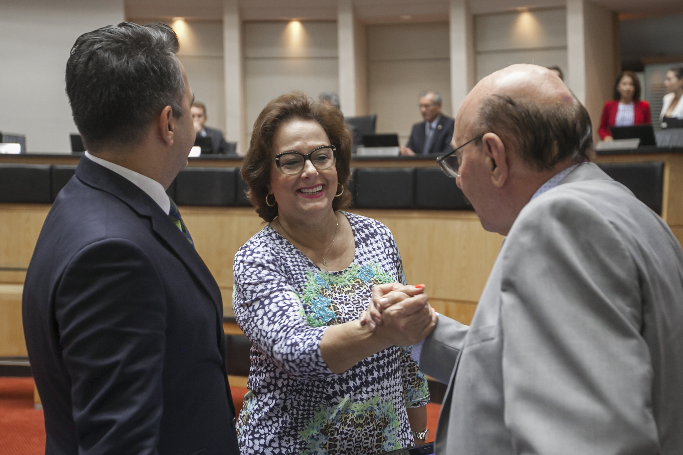 Sessão Ordinária