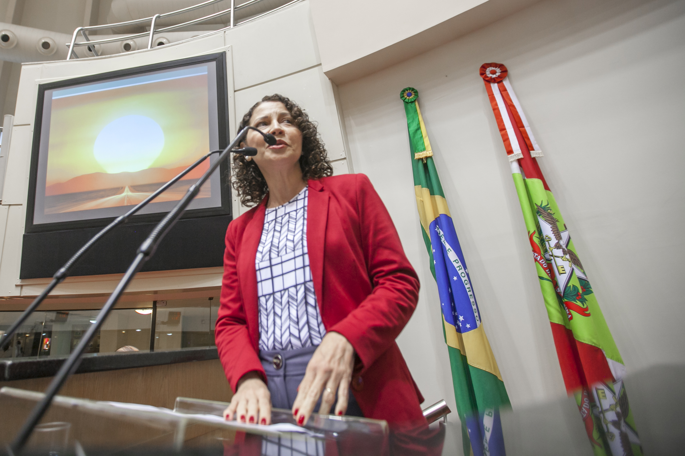 Jaira Freixiela Adamczyk, Presidente da Associação de Alcoólicos Anônimos do Brasil - Sessão Ordinária