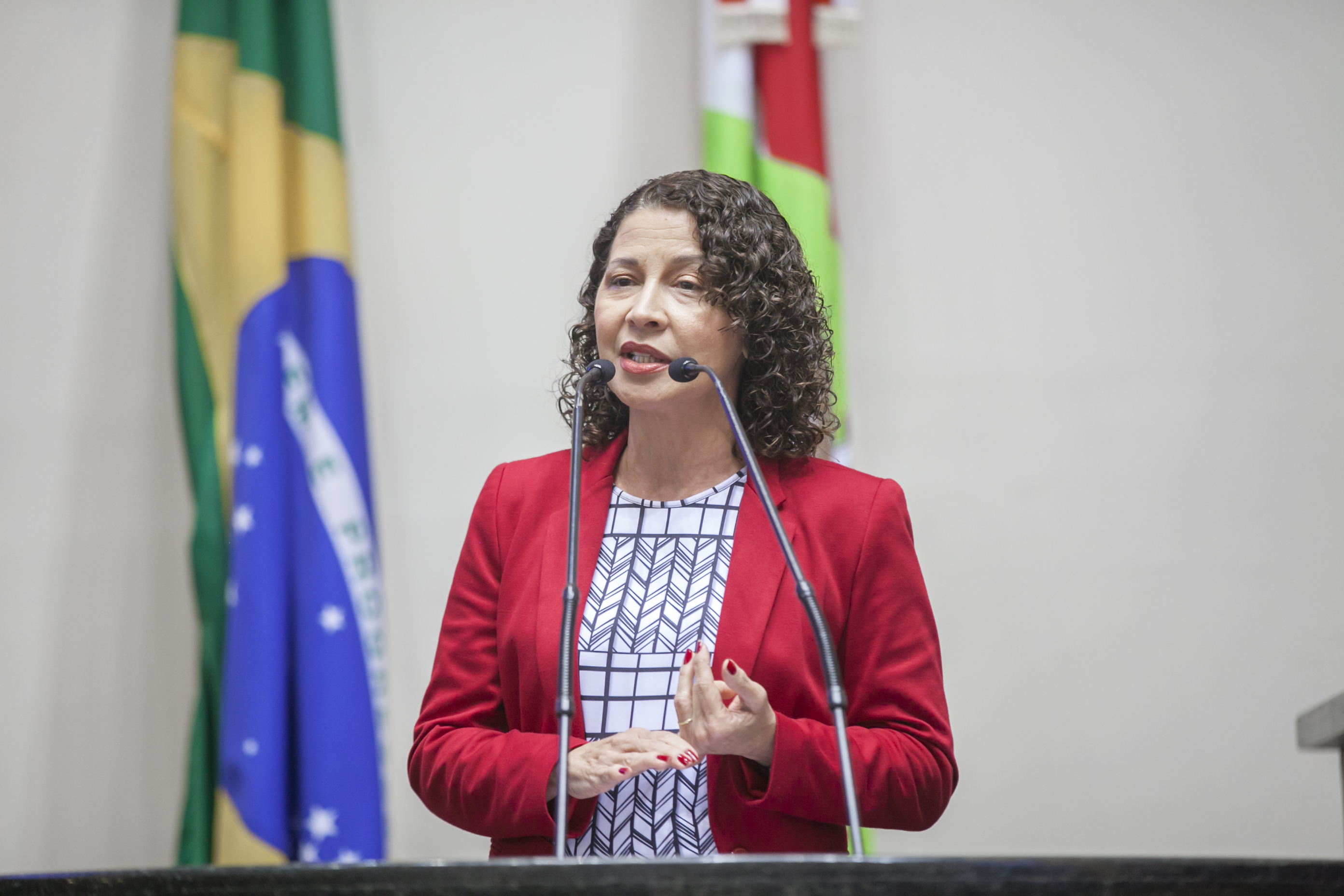 Jaira Freixiela Adamczyk, Presidente da Associação de Alcoólicos Anônimos do Brasil - Sessão Ordinária