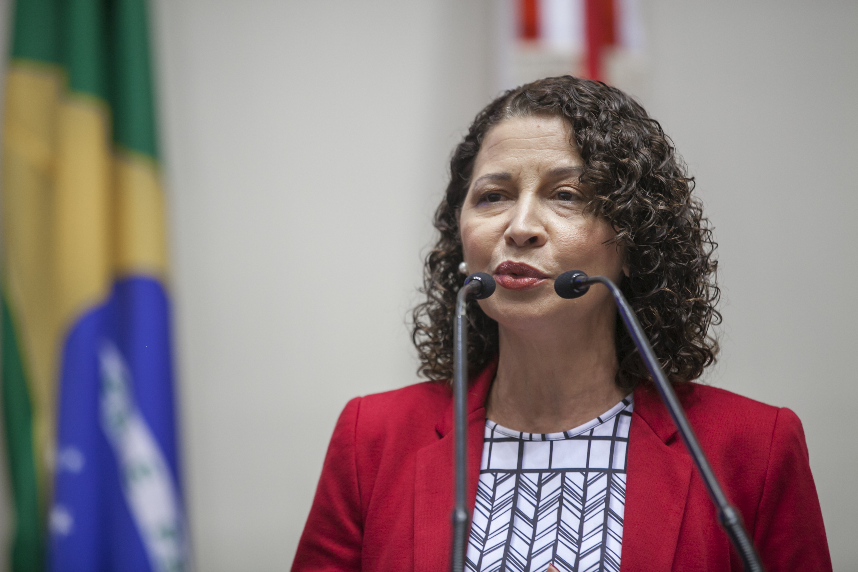 Jaira Freixiela Adamczyk, Presidente da Associação de Alcoólicos Anônimos do Brasil - Sessão Ordinária