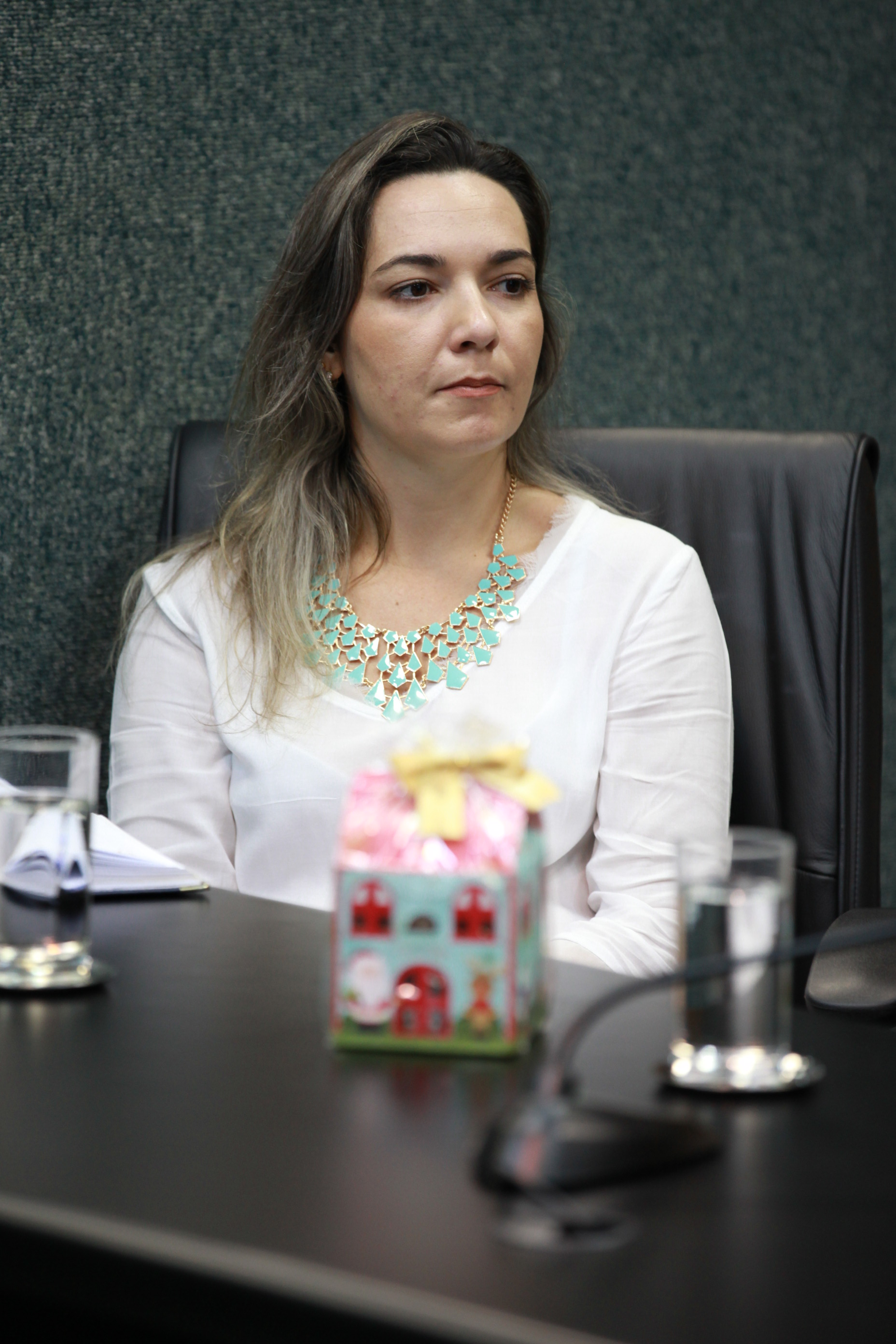 Reunião Com Associação Catarinense de Autismo.