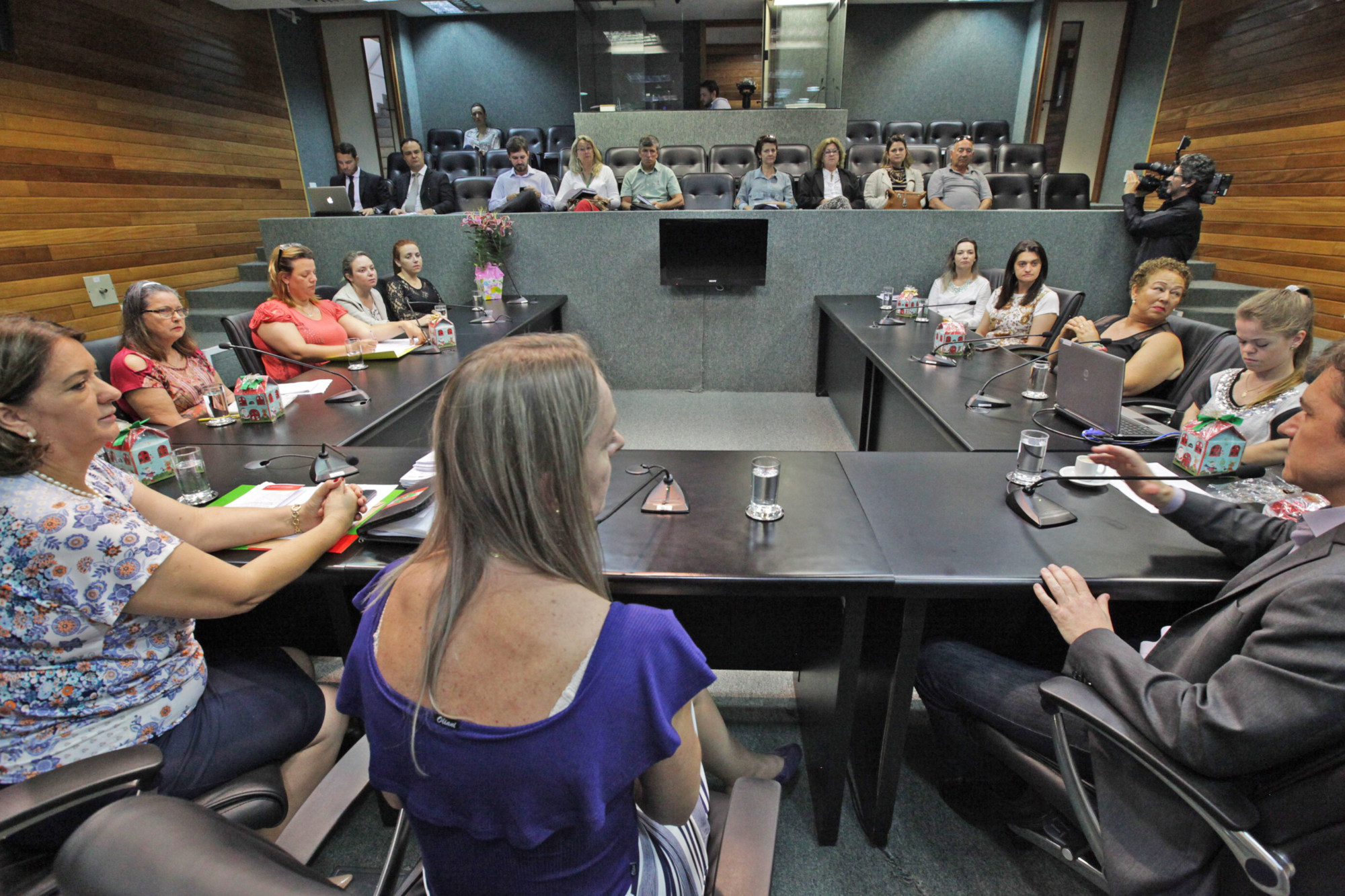 Entidades de apoio aos autistas debatem formas de captação de recursos