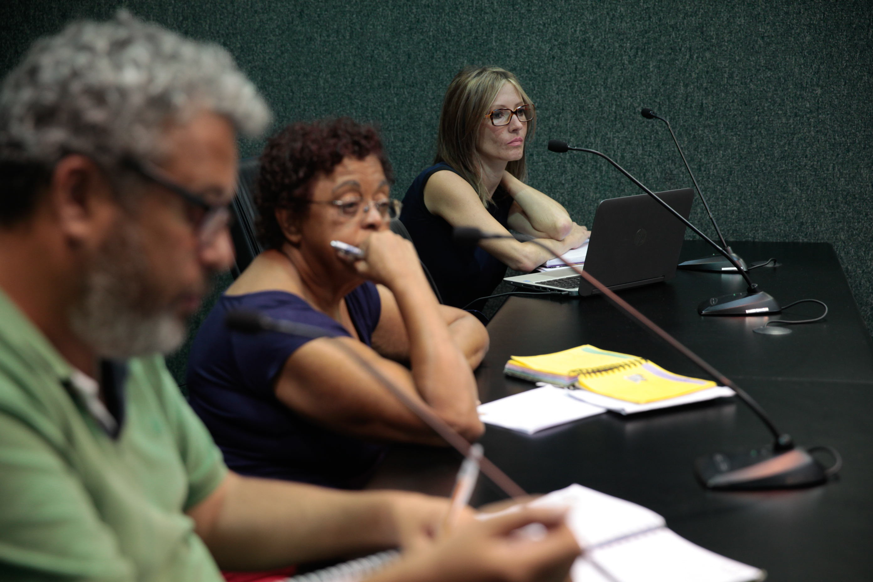 Reunião do Grupo de Trabalho do Imigrante da Comissão de Diretos Humanos.