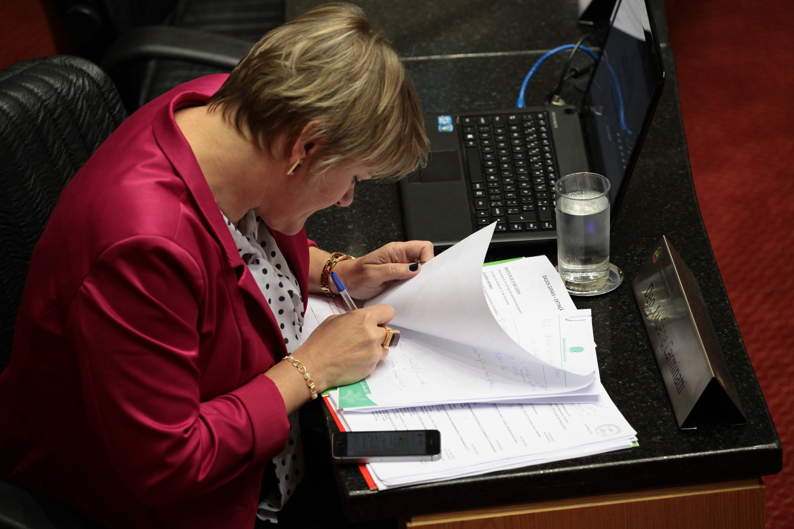 Sessão Ordinária. Deputada Luciane Carminatti (PT)