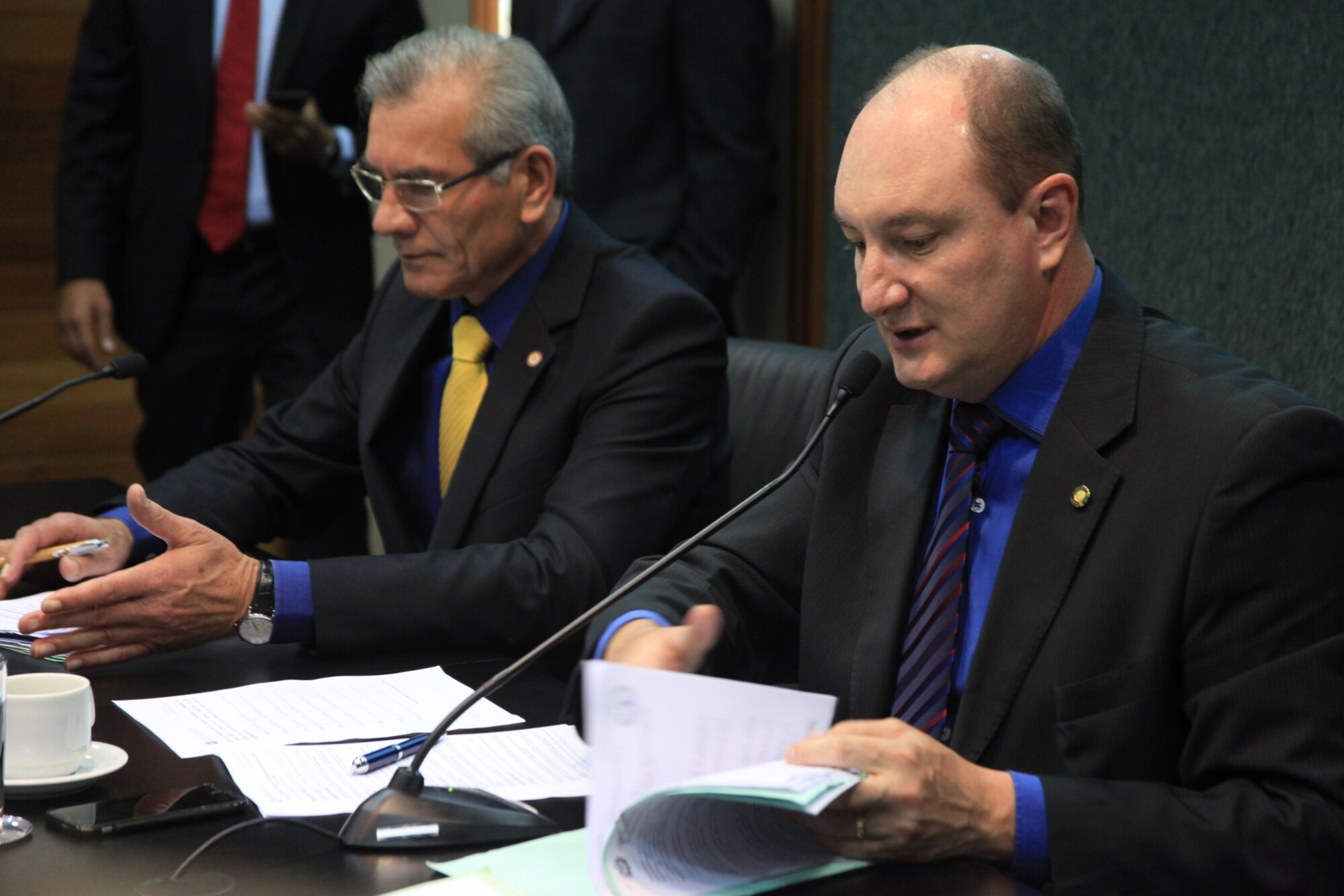 Deputado Mauro de Nadal