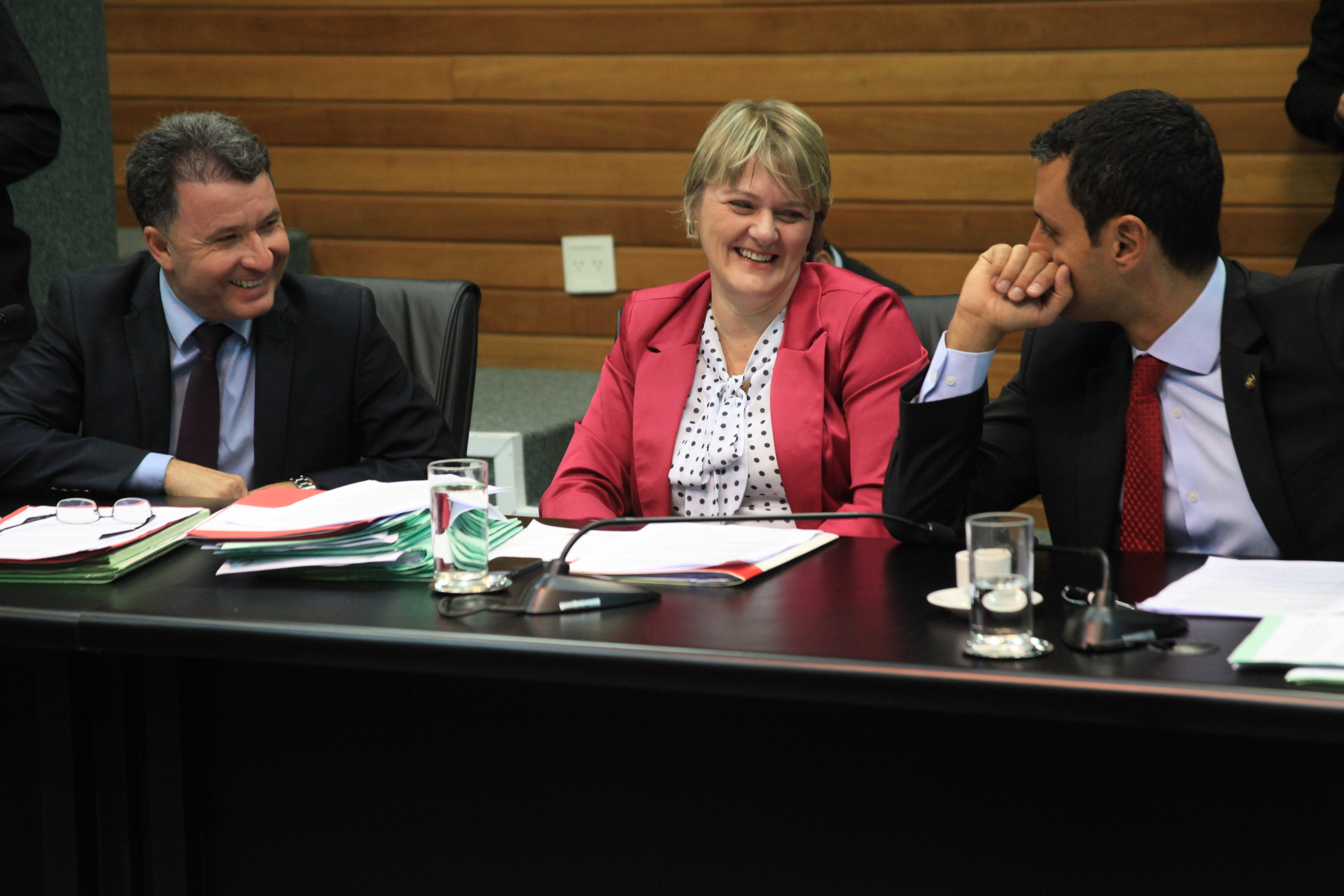 Reunião da Comissão de Constituição e Justiça.