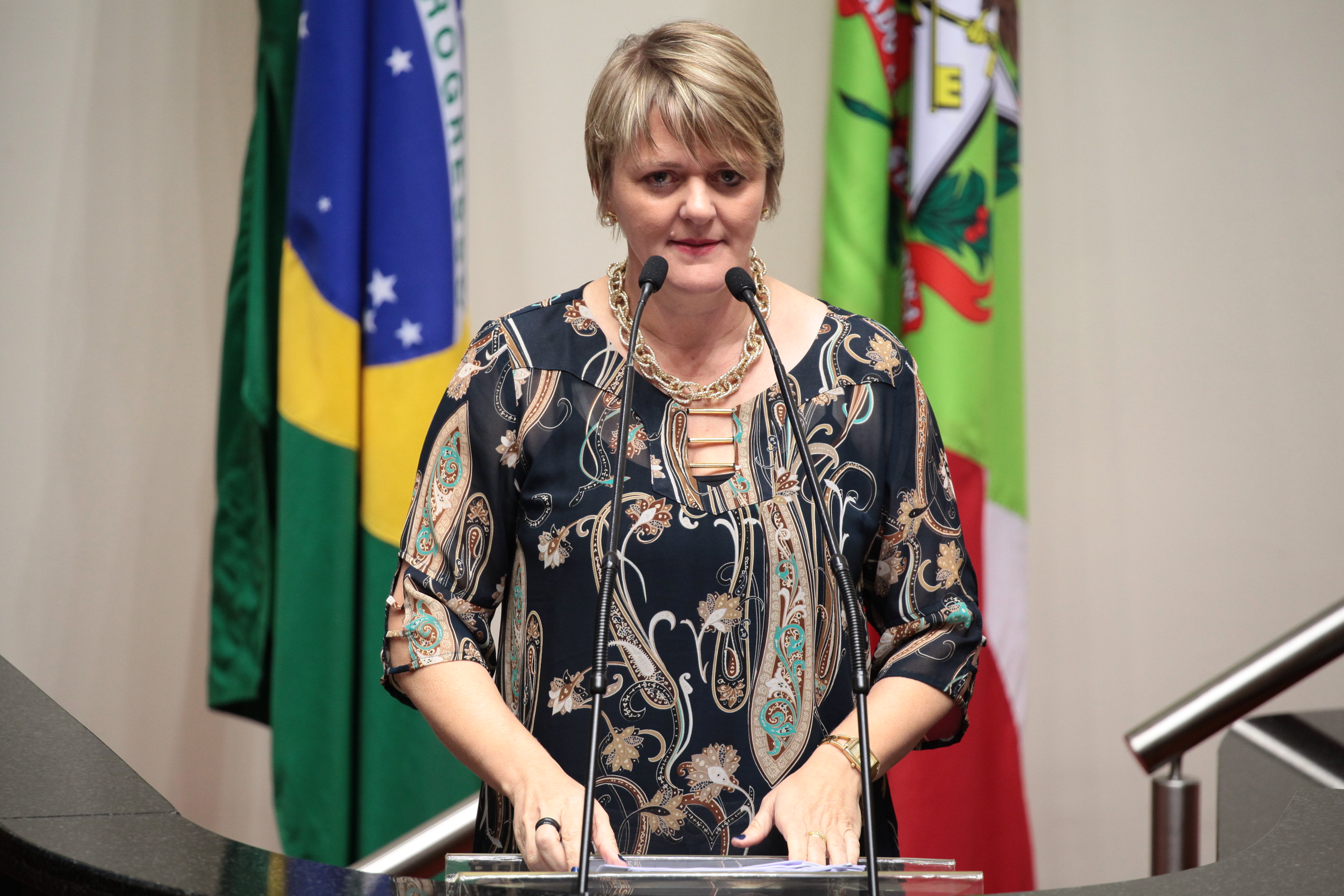 Sessão Ordinária. Deputada Luciane Carminatti (PT)