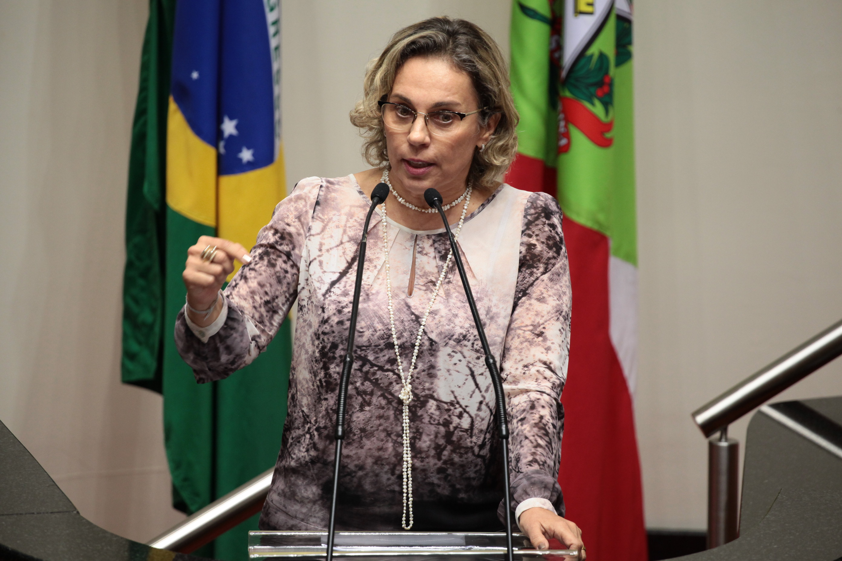 Sessão Ordinária. Deputada Ana Paula Lima (PT)