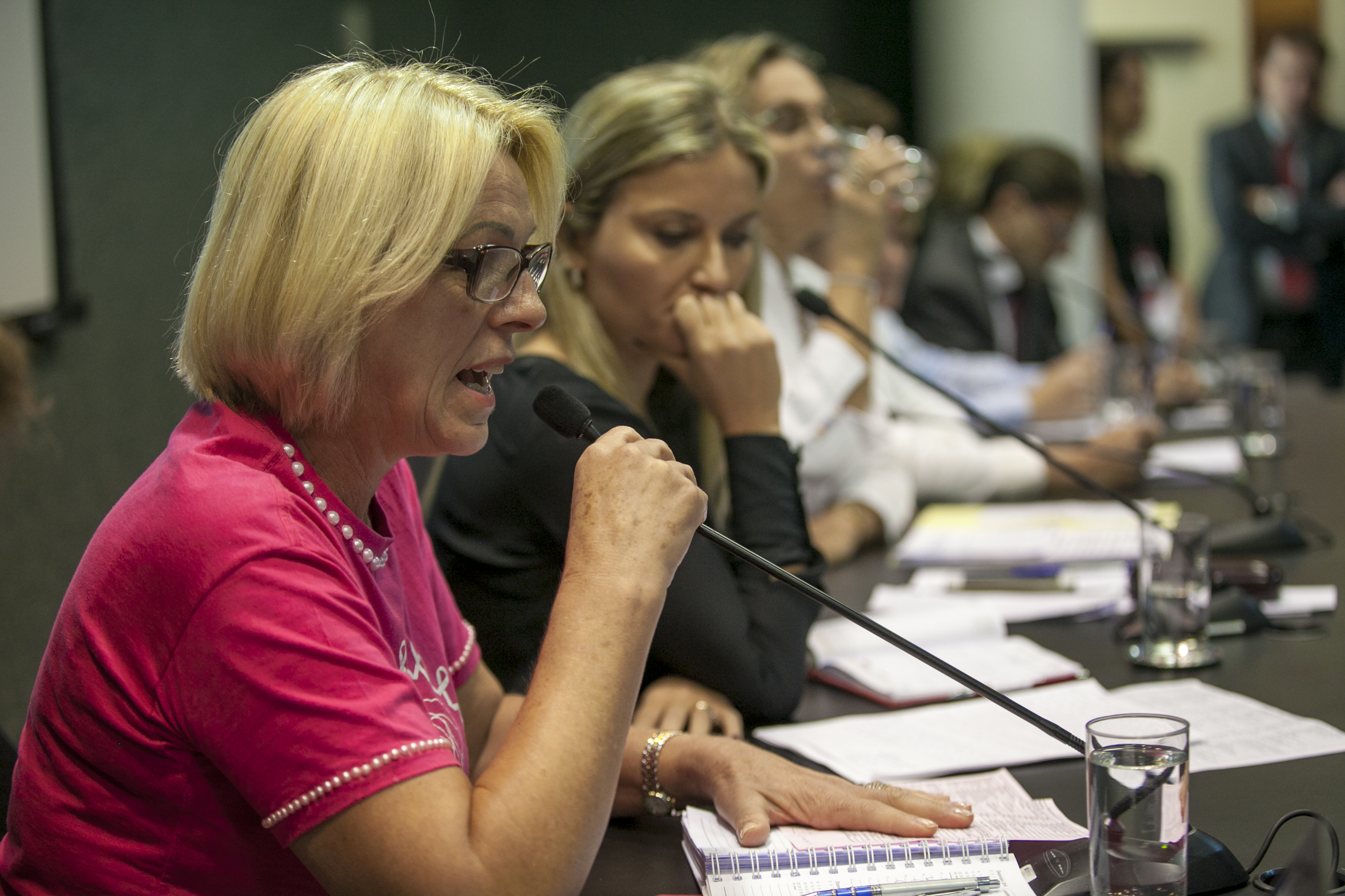 Audiência Pública sobre a Situação dos mamógrafos e a qualidade dos exames de mamografia no Estado de Santa Catarina.