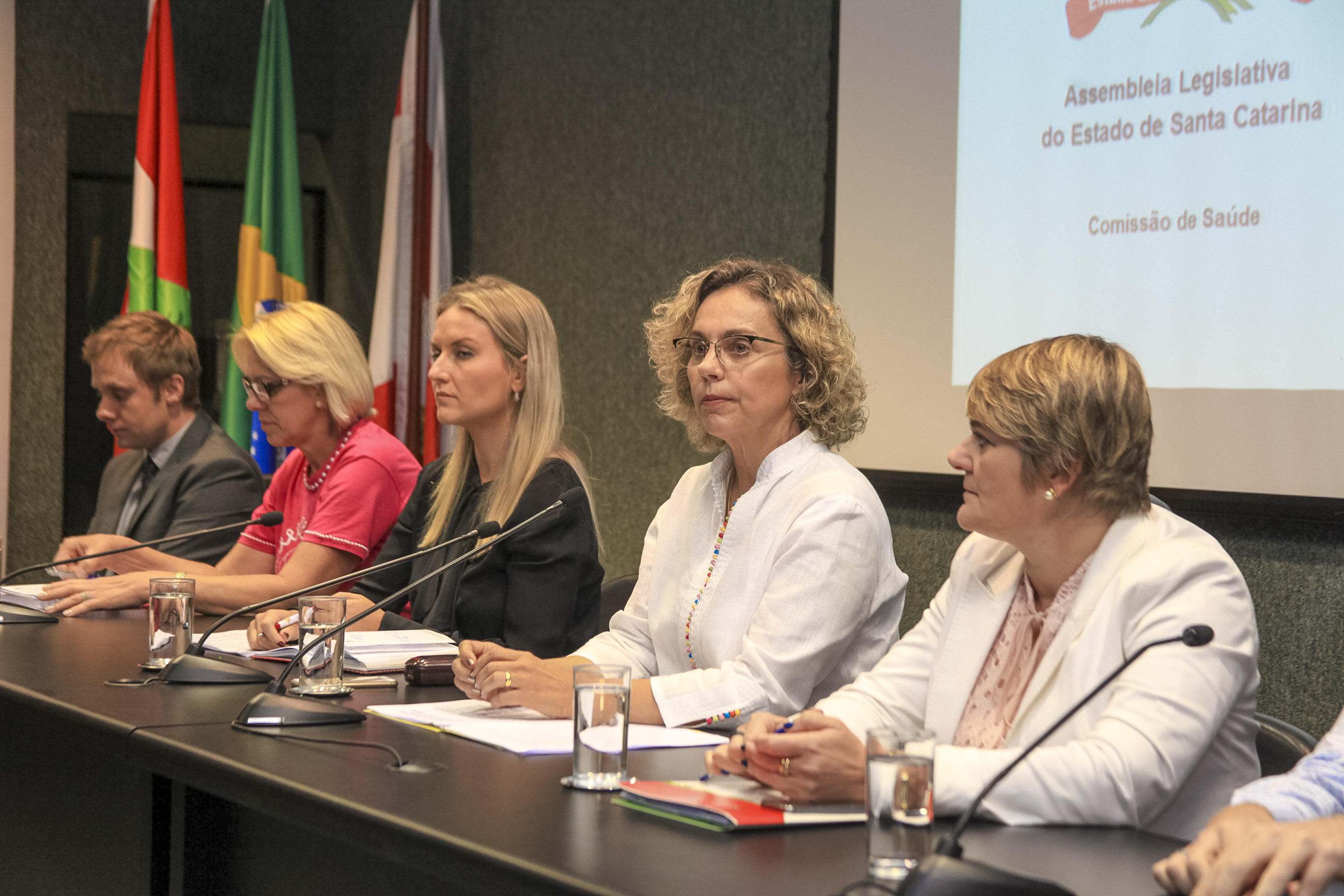 Audiência Pública sobre a Situação dos mamógrafos e a qualidade dos exames de mamografia no Estado de Santa Catarina.