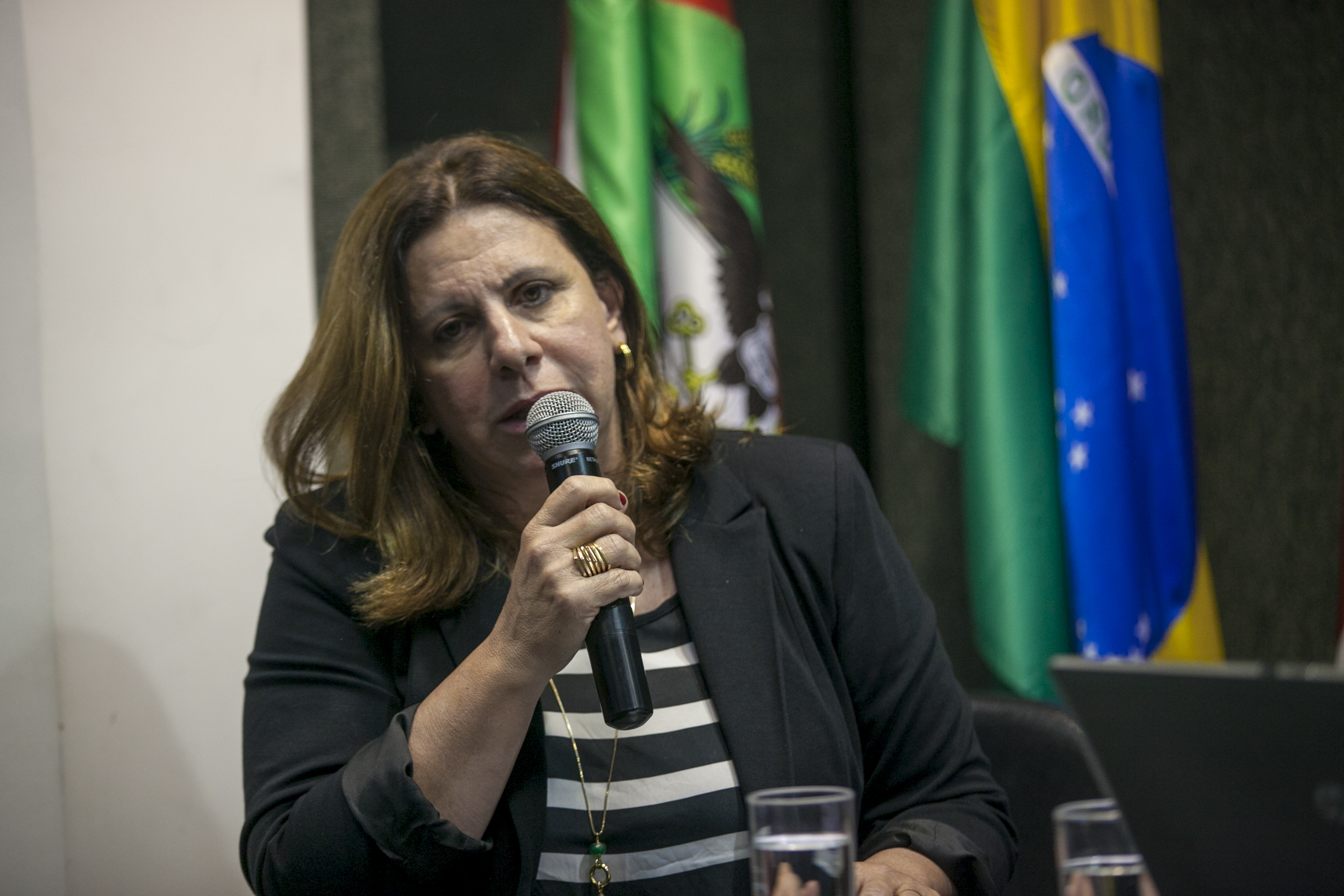 Raquel Bittencourt, diretora da Vigilância Sanitária em Santa Catarina.