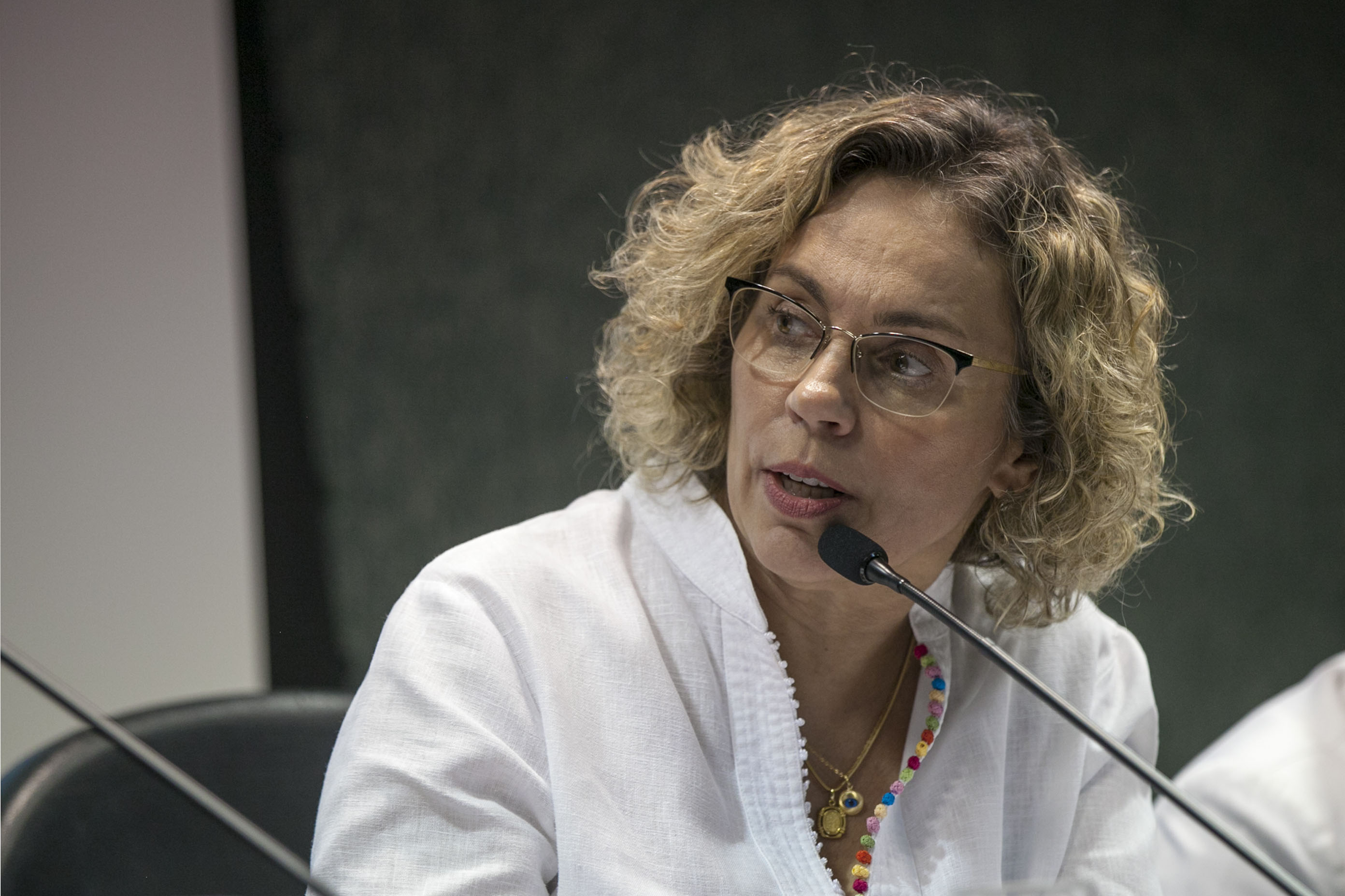 Audiência Pública sobre a Situação dos mamógrafos e a qualidade dos exames de mamografia no Estado de Santa Catarina. Deputada Ana Paula Lima (PT)