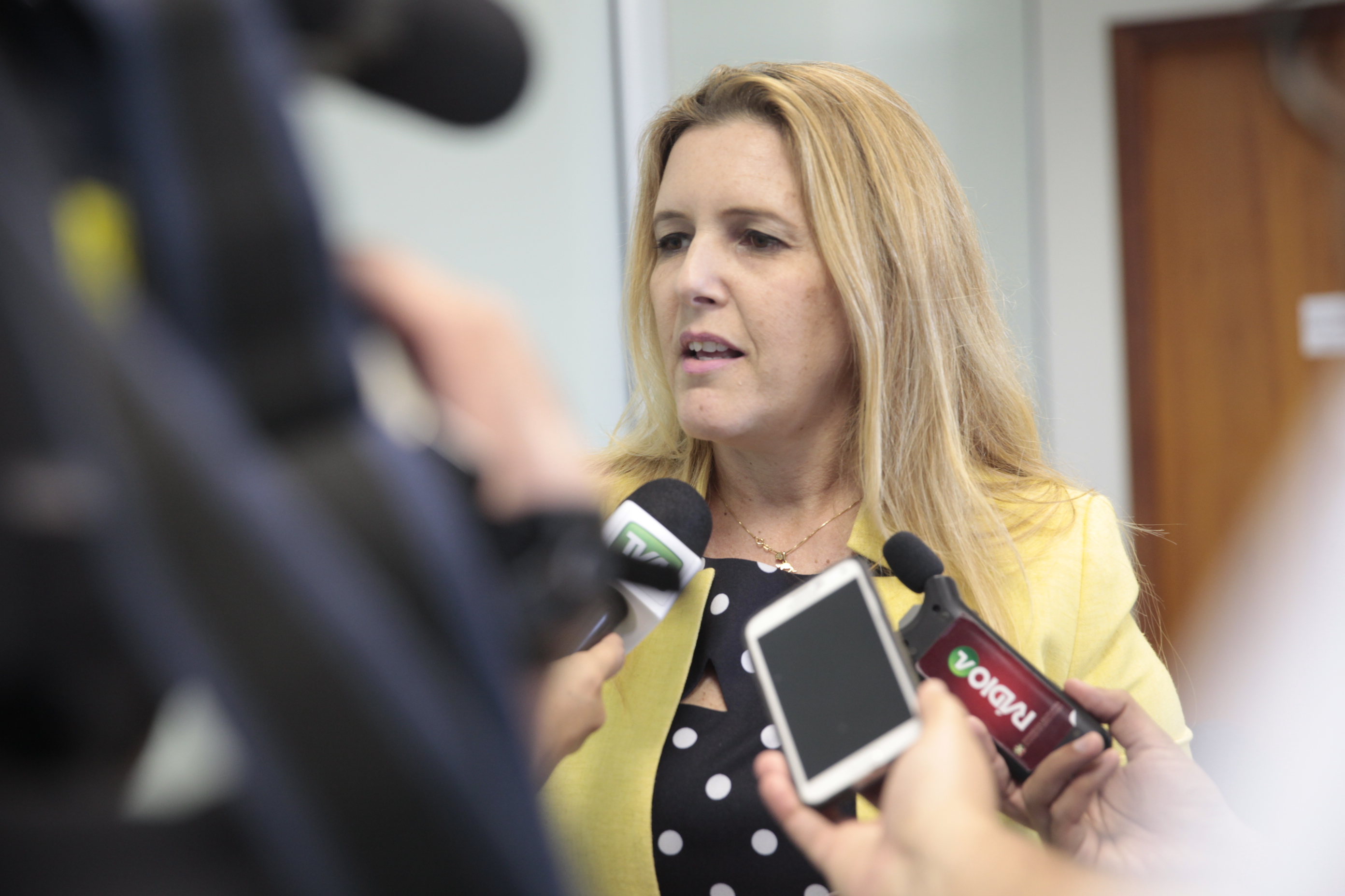 Semana Nacional de Conciliação em Santa Catarina. Daniela Menegotto.