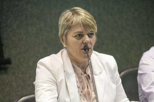 Nota da deputada Luciane Carminatti sobre a tragédia com a Chapecoense