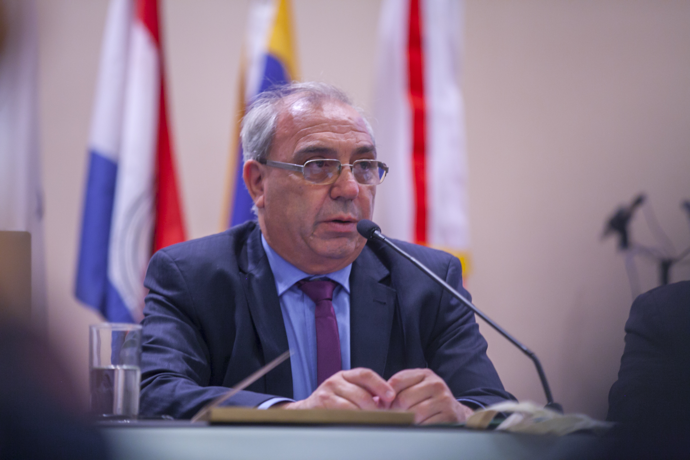 Seminário Internacional do Mercosul