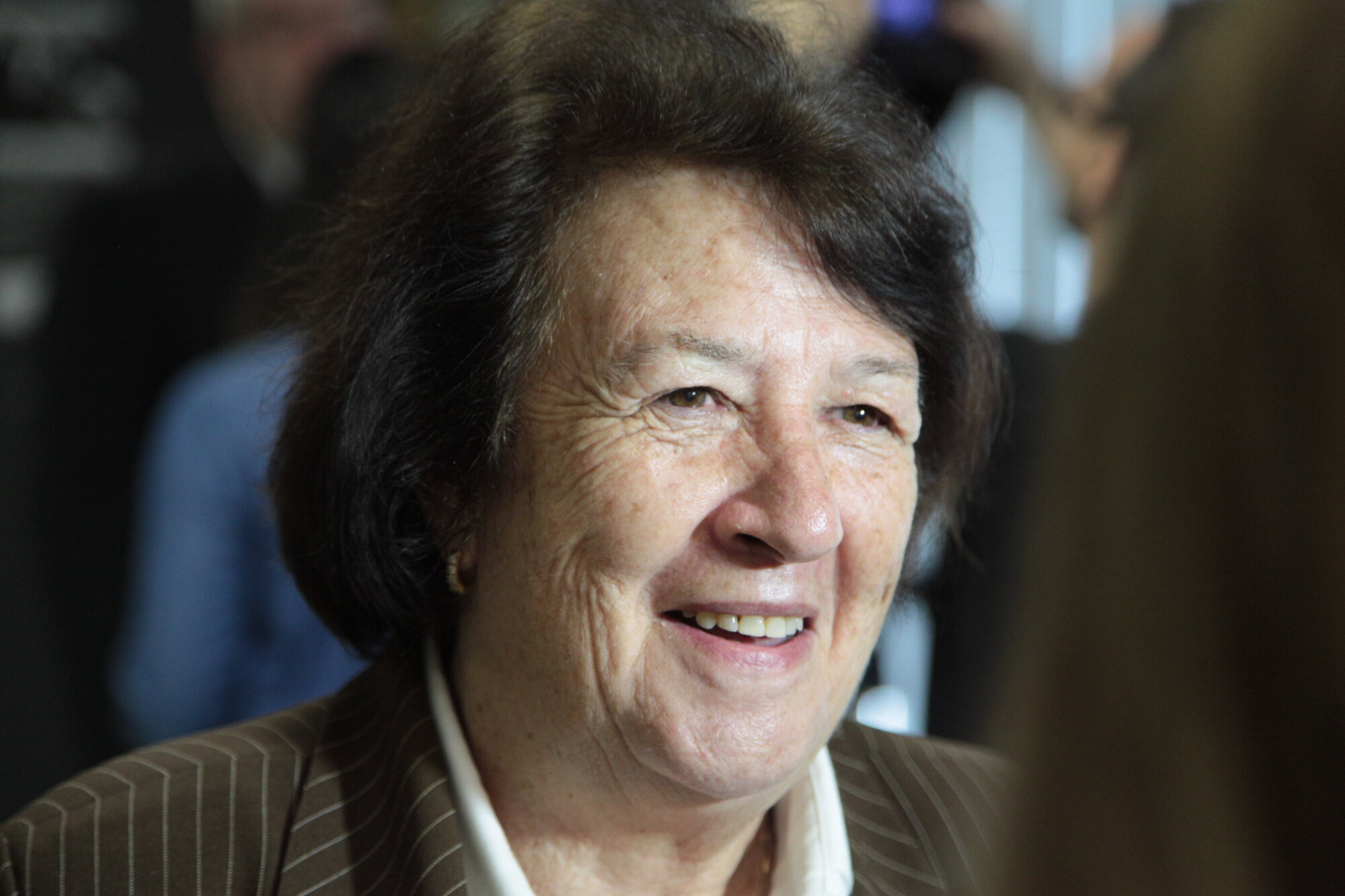 Rosa Maria Tesser, historiadora