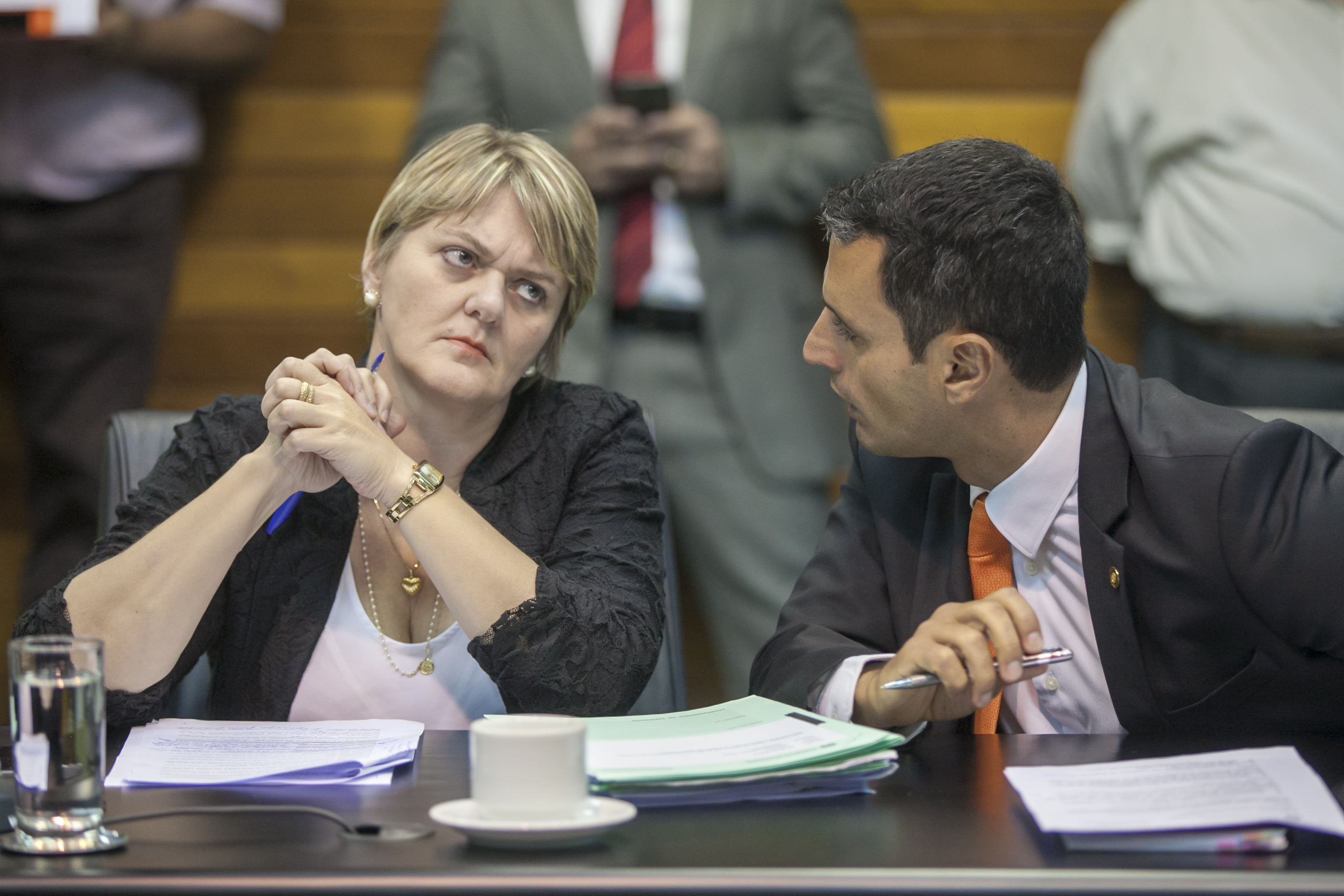 Comissão de Constituição e Justiça