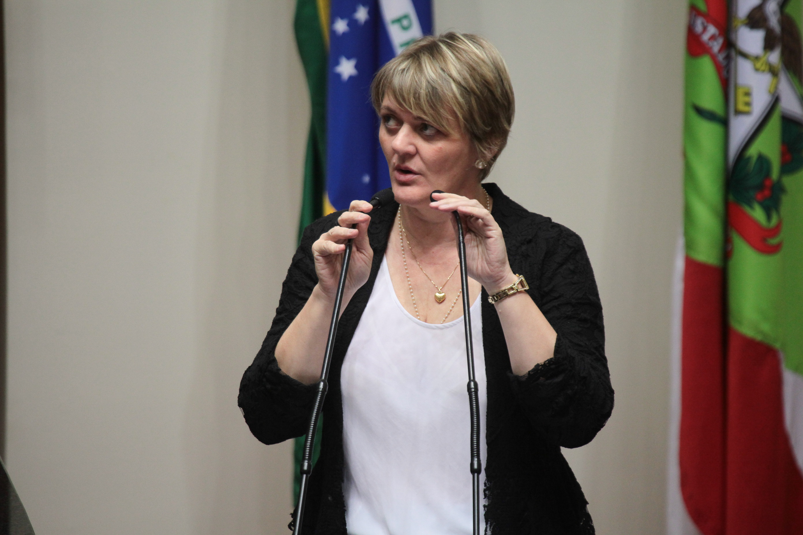 Sessão Ordinária. Deputada Luciane Carminatti (PT). Foto: Daniella Coriolano