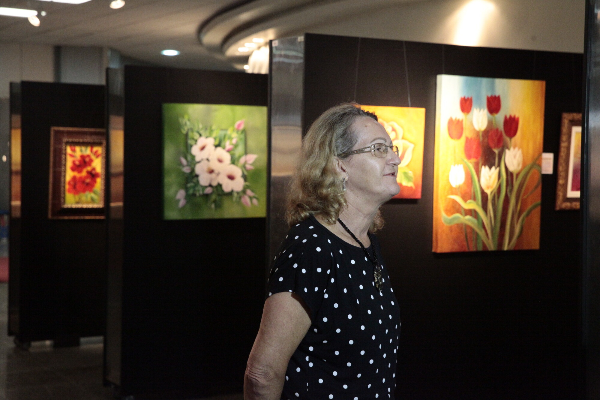 Exposição “Encantos da Natureza” fica na Alesc até 23 de dezembro