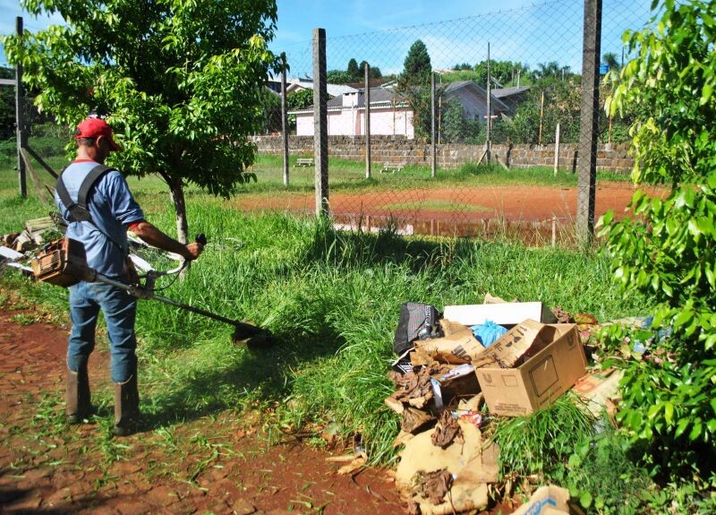 Controle de criadouros do mosquito da dengue fica mais rígido em SC