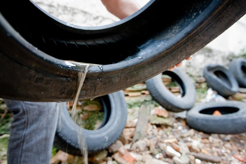 Criadouro do Aedes renderá multa e suspensão a donos de imóveis