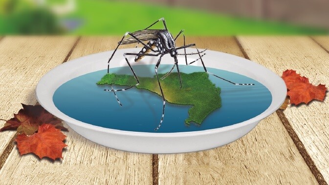 Santa Catarina registra 13.932 casos suspeitos de dengue em 2016