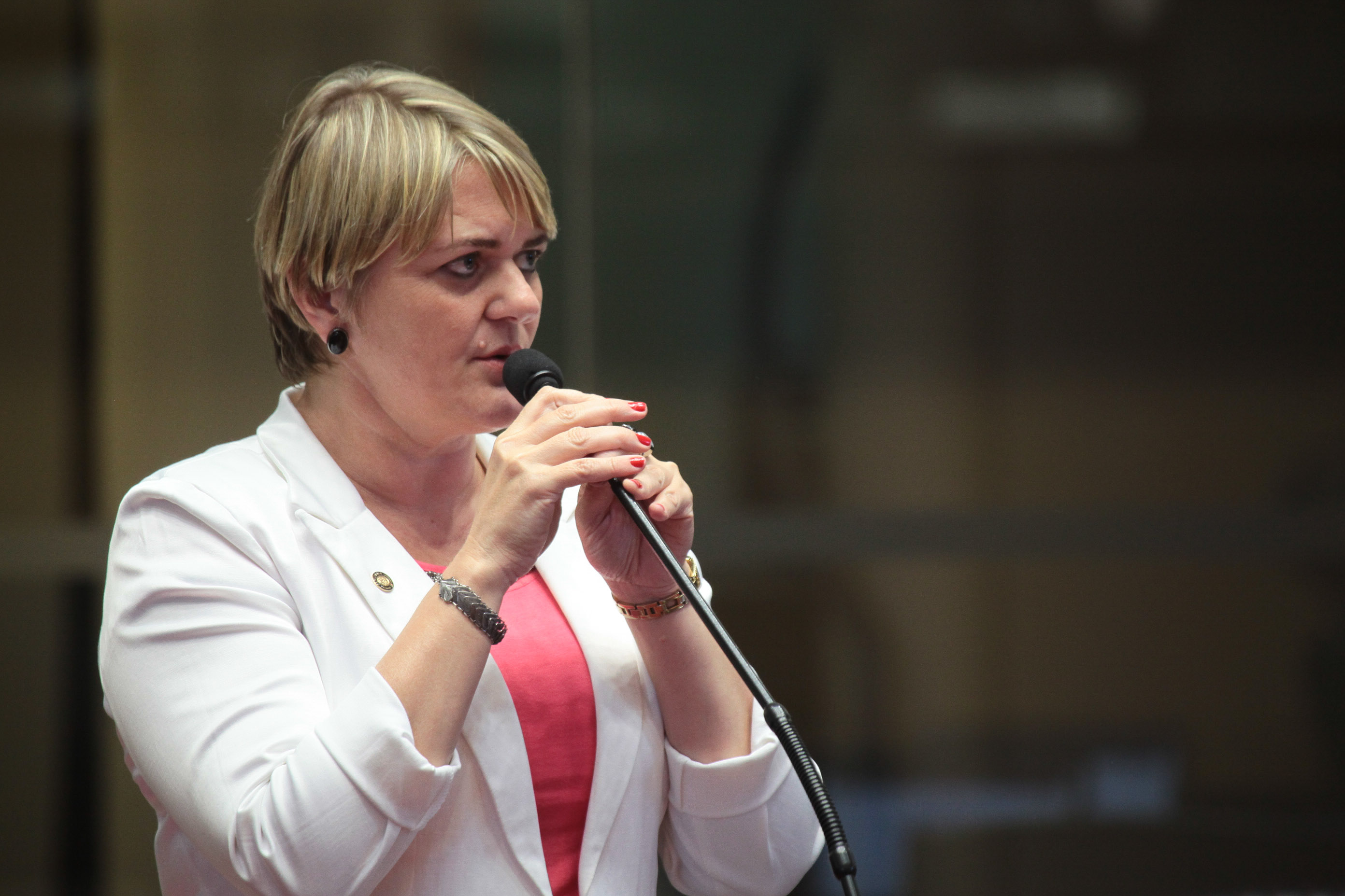 Sessão ordinária. Deputada Luciane Carminatti (PT).