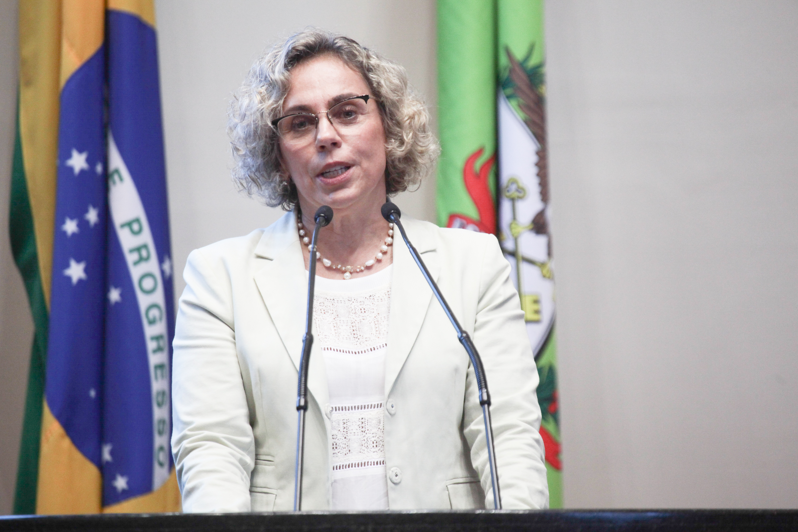 Sessão ordinária. Deputada Ana Paula Lima (PT).